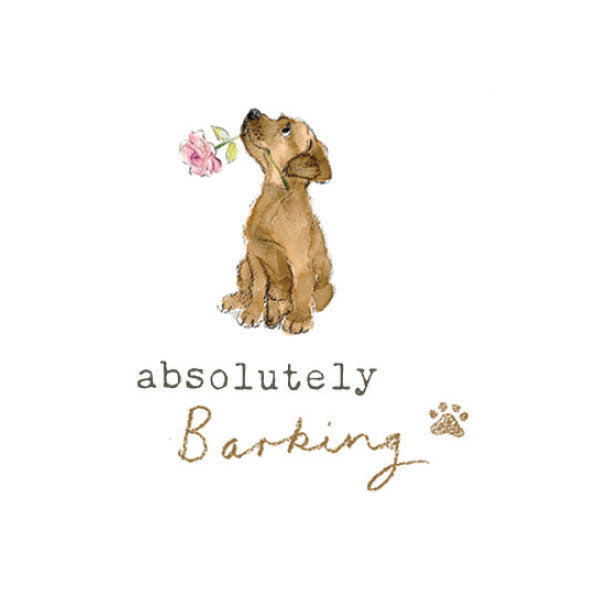 Absolutely Barking