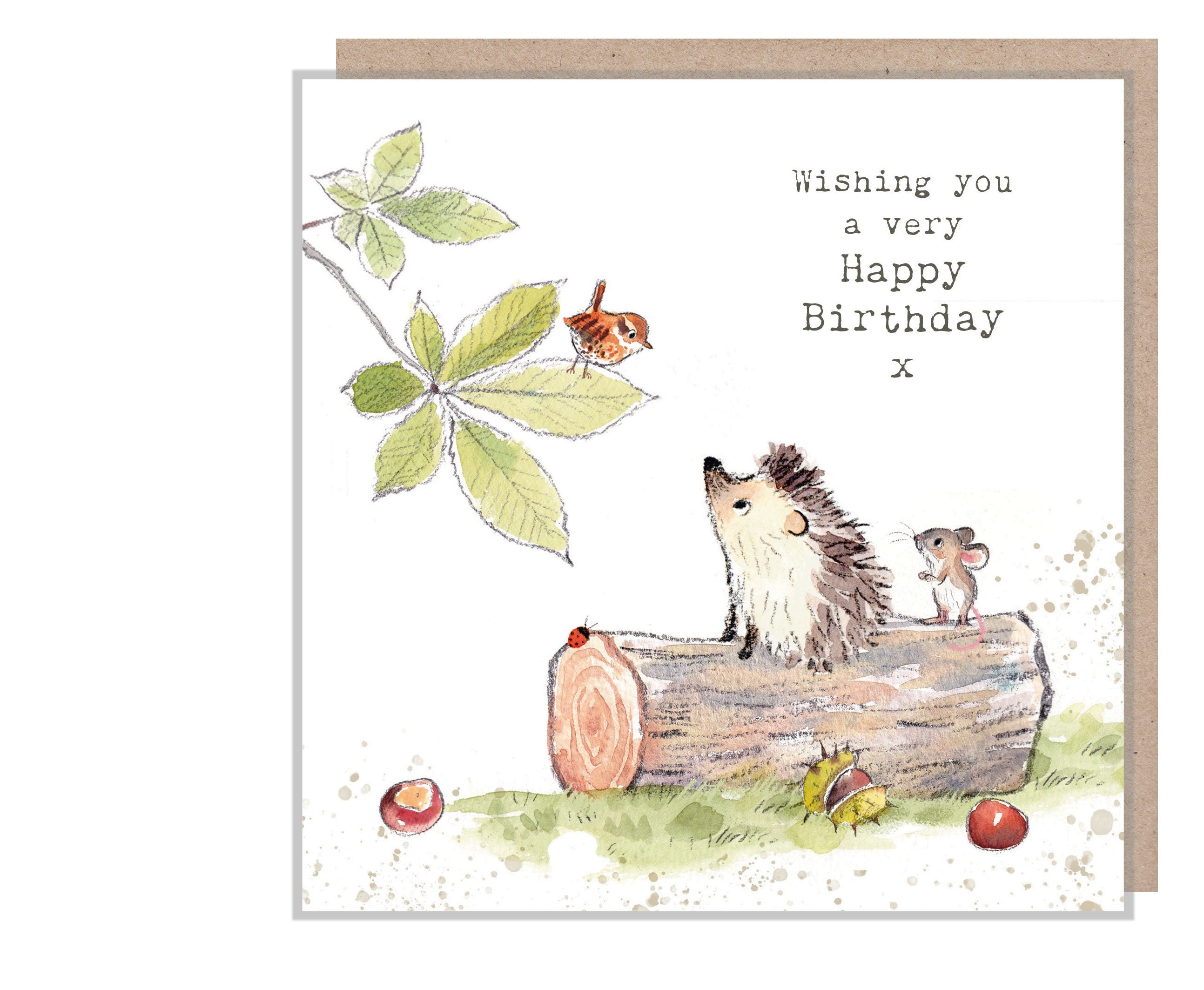 Hedgehog Birthday Card - Quality Card - Charming illustration - Hedgehog Mouse and Bird - 'Bucklebury Wood'  range - Made in UK -  BWE06