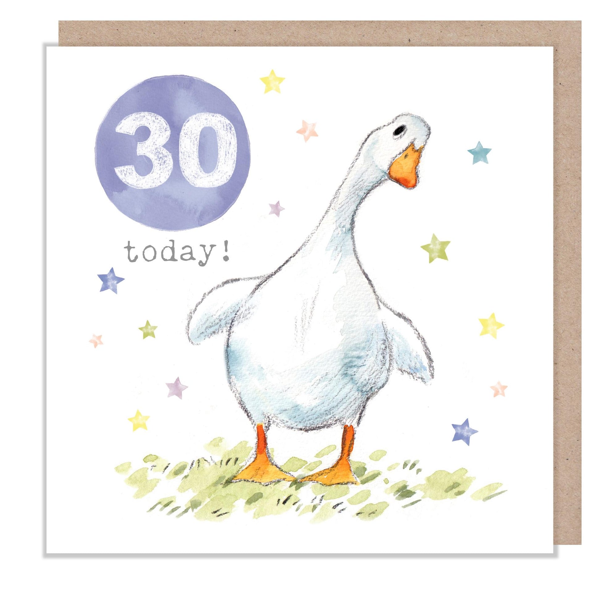 AGE 30 Birthday Card -  Charming illustration - White Duck - Party Time'  range - Made in UK -  PTAGE030