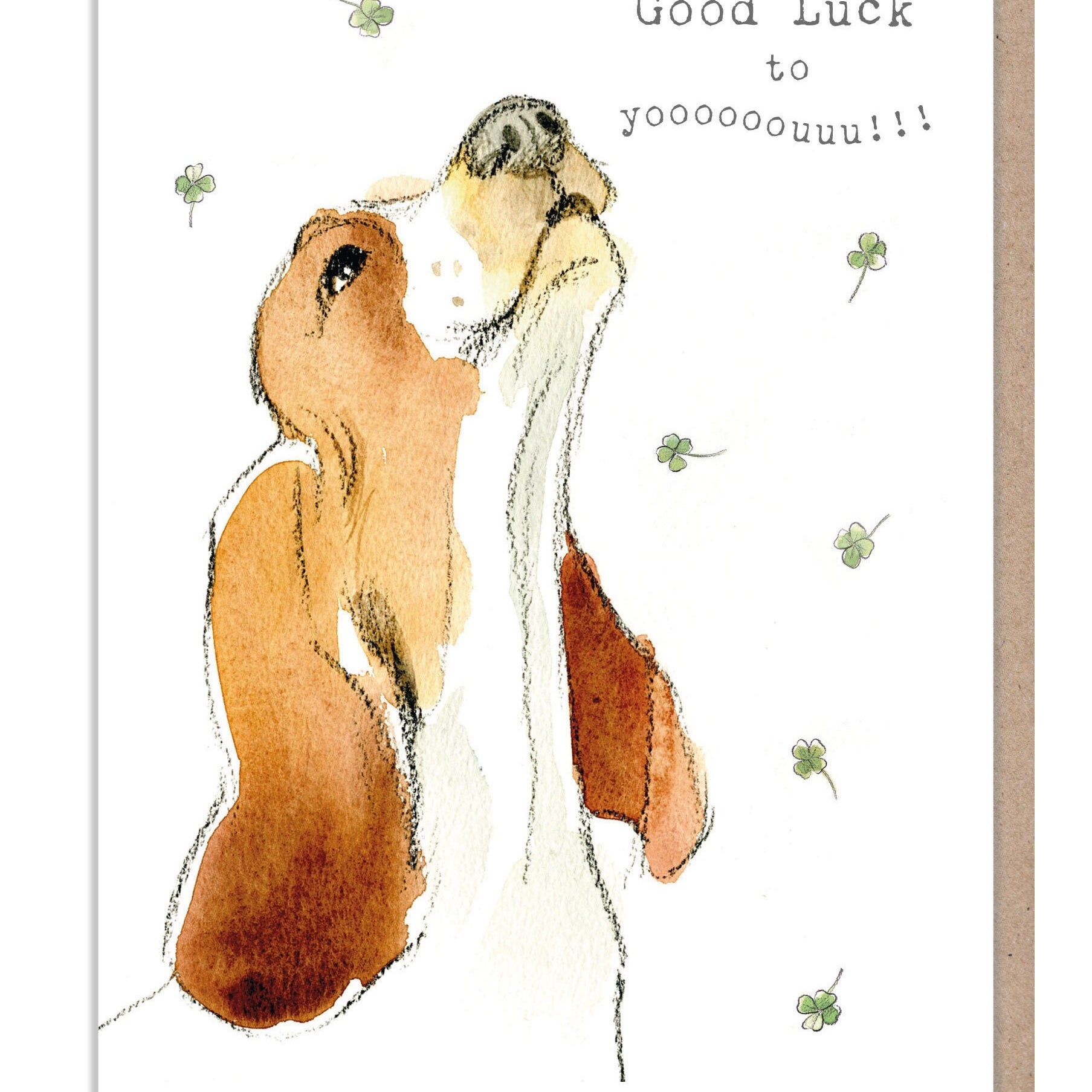 Good Luck Card - Basset hound Illustration - absolutely barking range - ABE087