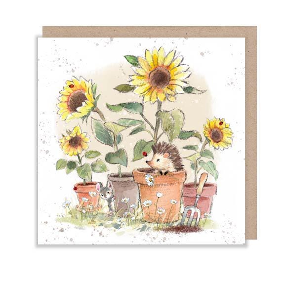 Blank Card - Quality Card - Charming illustration - Hedgehog with Sunflowers- 'Morris and Maude' range - Made in UK -  MME07