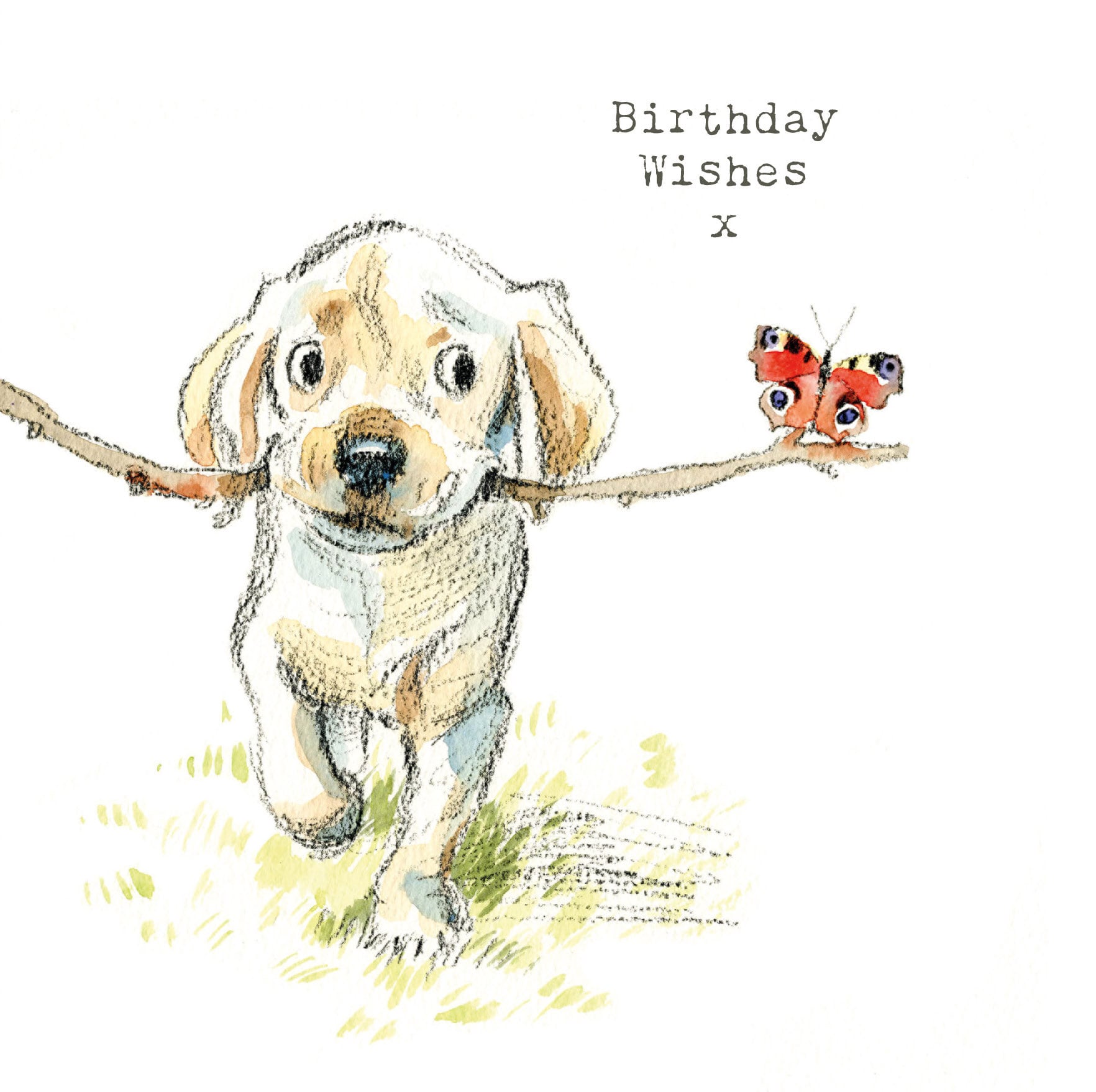 Dog Birthday Card - Quality Greeting Card - Charming illustration - 'Absolutely barking' range -  Labrador puppy - Made in UK -  ABE03