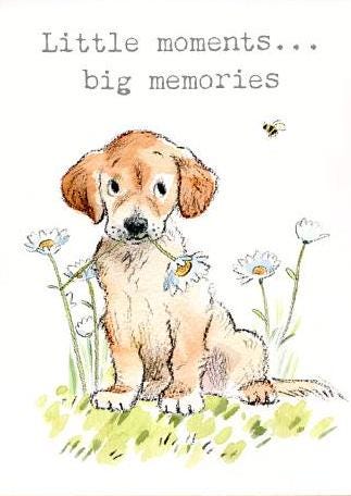 Quality Fridge Magnet - Little moments Big memories  - Cute Puppy design - MDF-  Made in the UK - FM019