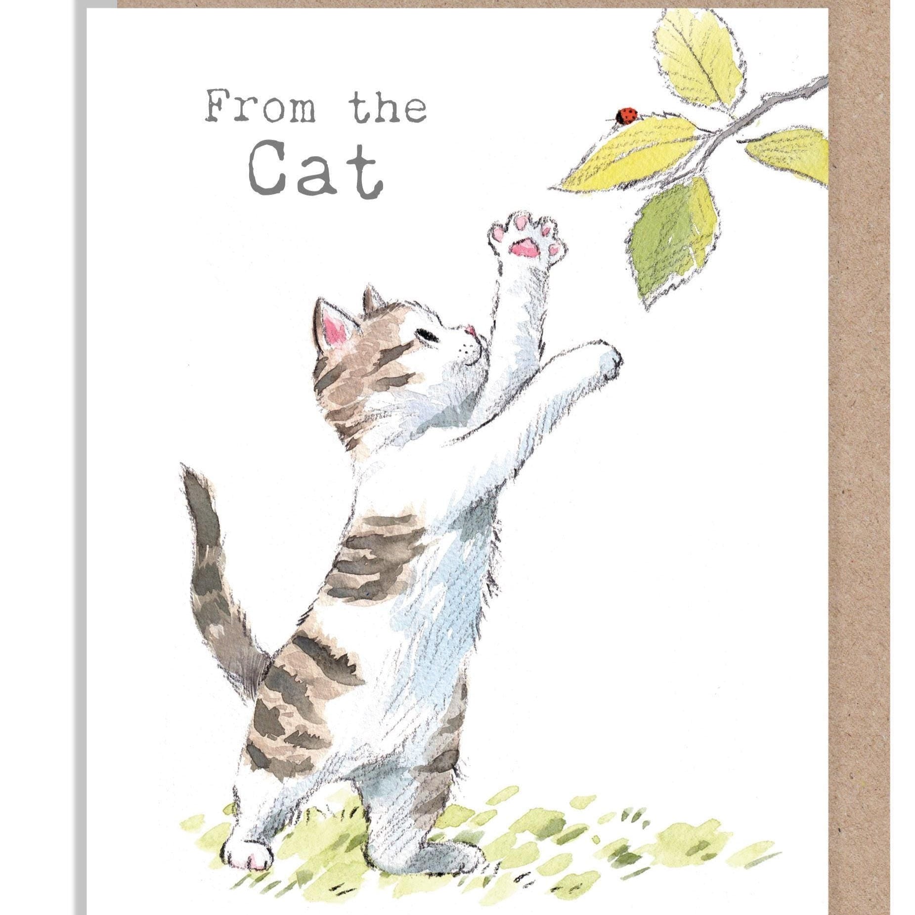 From the Cat Birthday Card - Charming illustration - 'pawsitively Purrrfect' range - Cat with leaves - Made in UK- EPP031