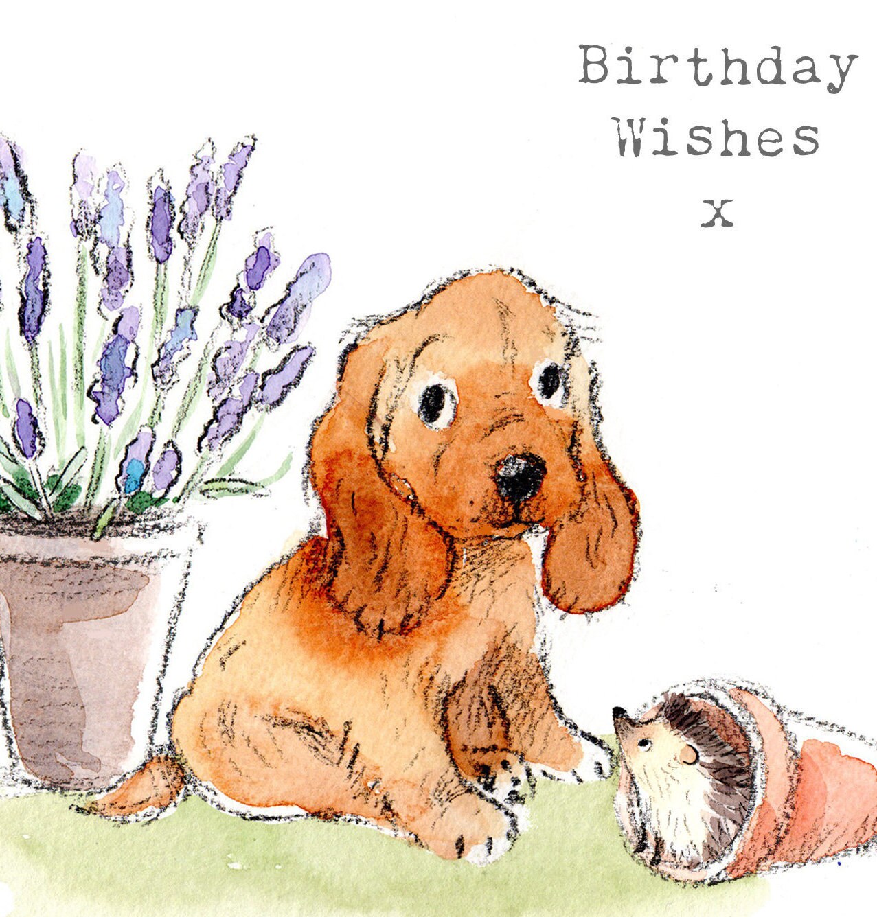 Dog Birthday Card - Quality Greeting Card - Charming illustration - 'Absolutely barking' range - Cocker spaniel- Made in UK -  ABE040