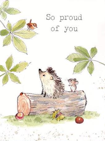 Quality Fridge Magnet - So proud of You -  Hedgehog design - MDF-  Made in the UK - FM012