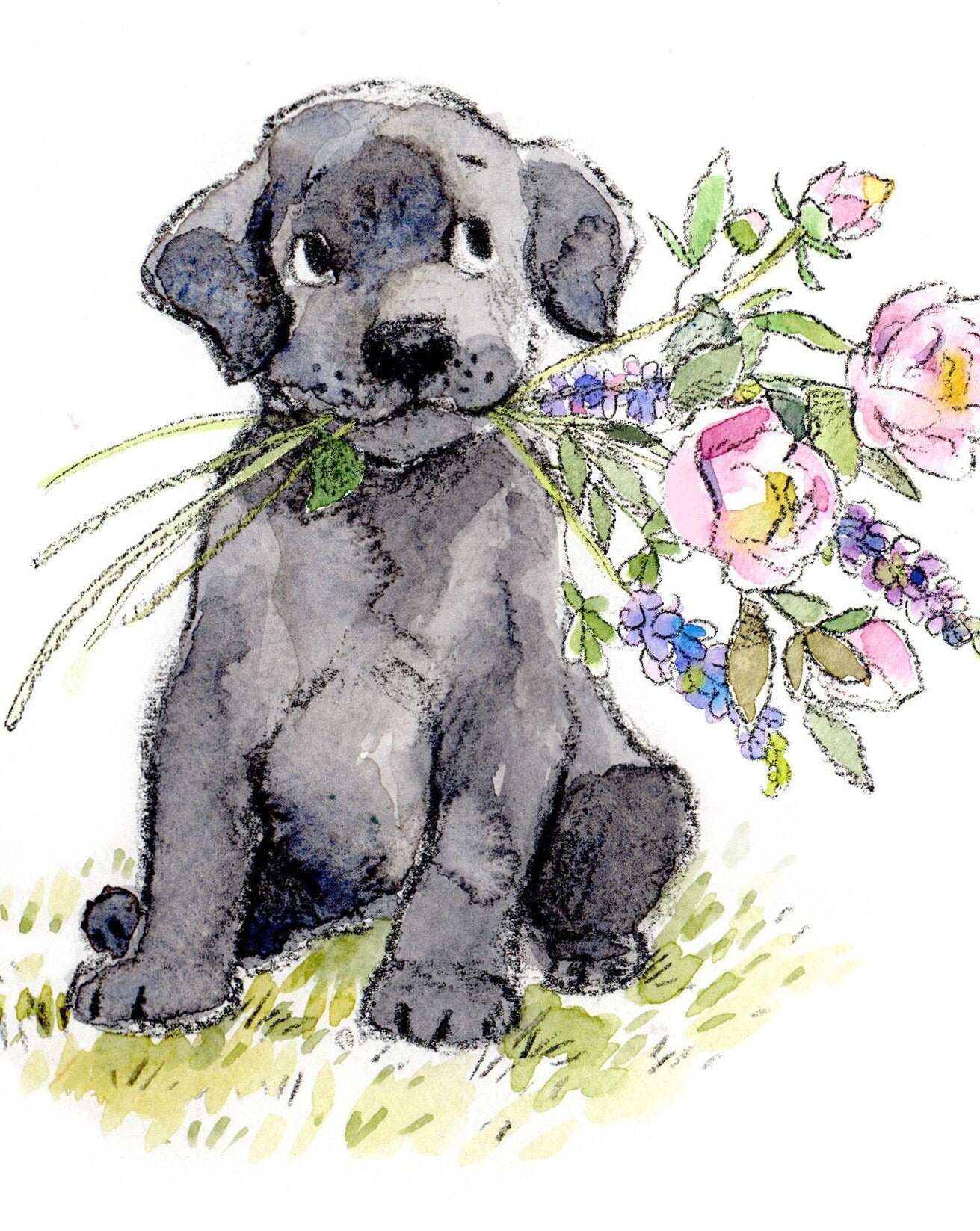 Blank Card - Quality Greeting Card - Charming Dog illustration - 'Absolutely barking' range - Black Labrador - Made in UK - ABE023