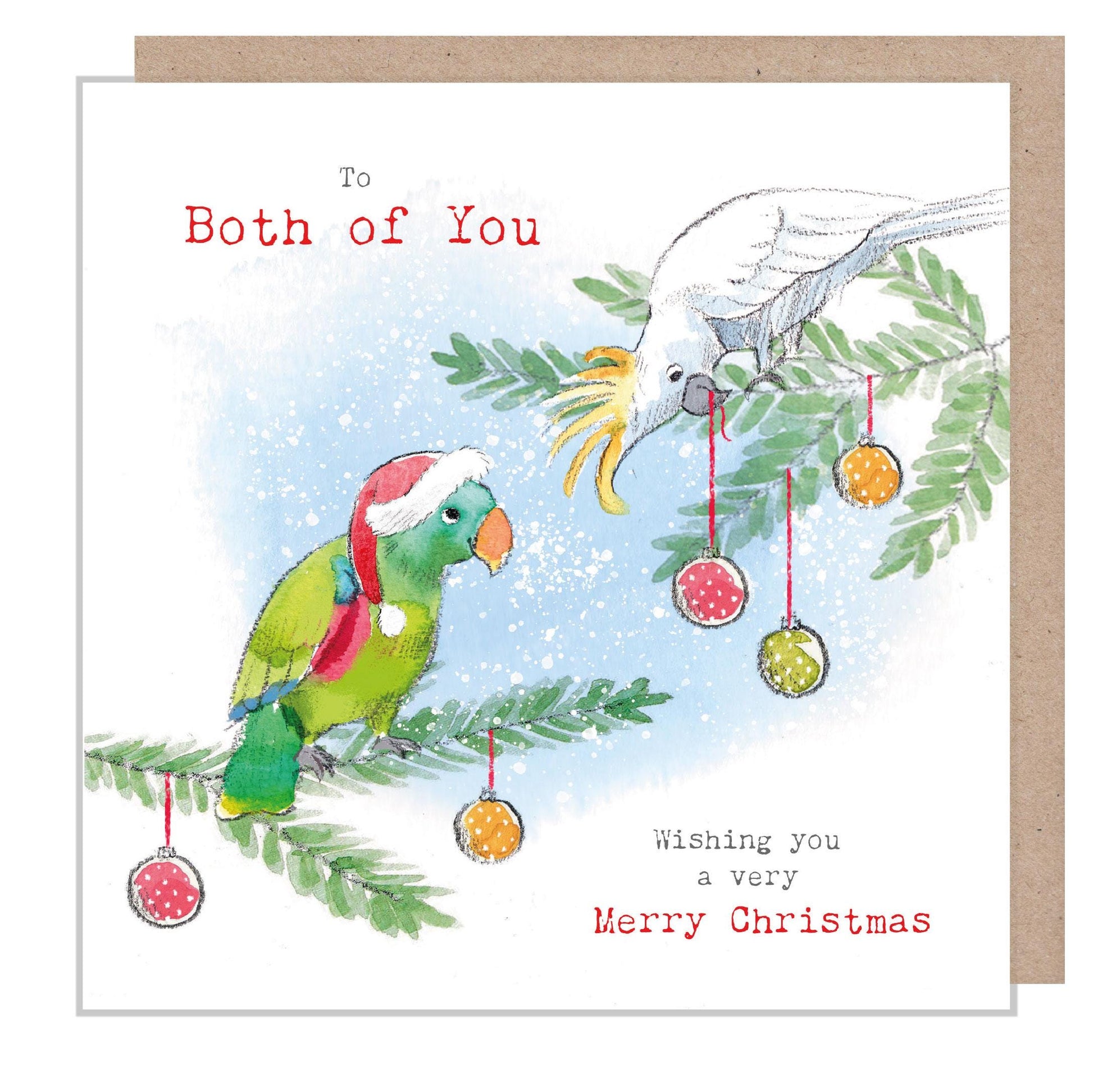 To Both of You - Quality Christmas Card - 150 x 150mm - Charming Parrot illustration - 'Wonderfully Wild'  range - Made in UK -  WWX022