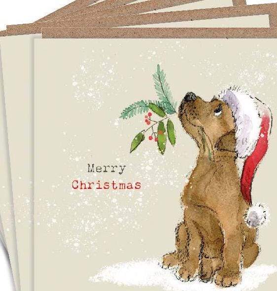 Puppy Christmas Card Pack: Hand-Drawn Design, Recycled Envelopes