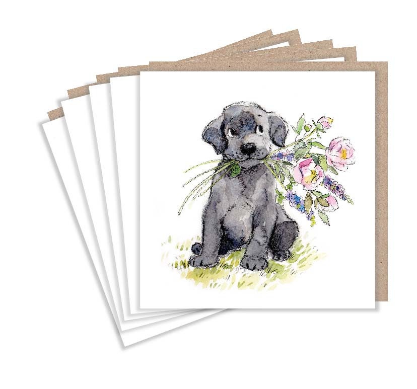 Notecard pack - 5 small quality cards with brown recycled envelopes (125 x 125mm)