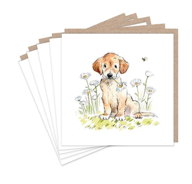 Notecard pack - 5 small quality cards with brown recycled envelopes (125 x 125mm)