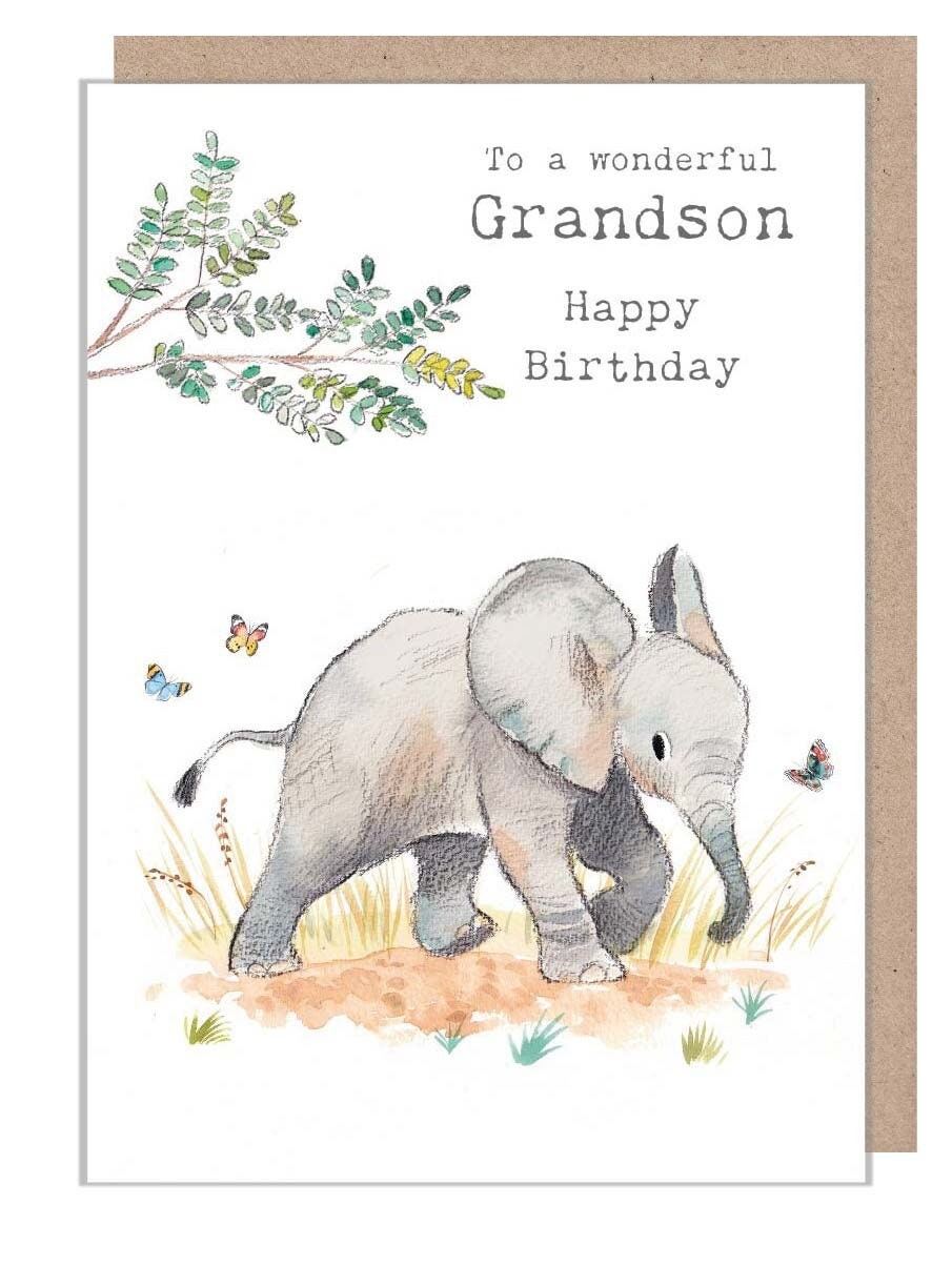 Grandson Birthday Card - Charming illustration - Elephant - 'Wonderfully Wild'  range - Made in UK -  WWE020
