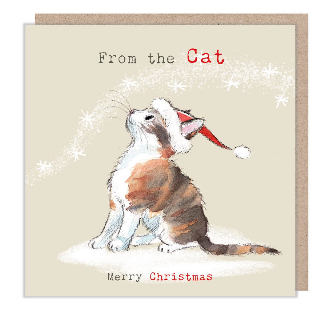 From the Cat - Quality Christmas Card - 150 x 150mm - Charming Cat illustration - 'Pawsitively Purrect' range - Made in UK - XPP011