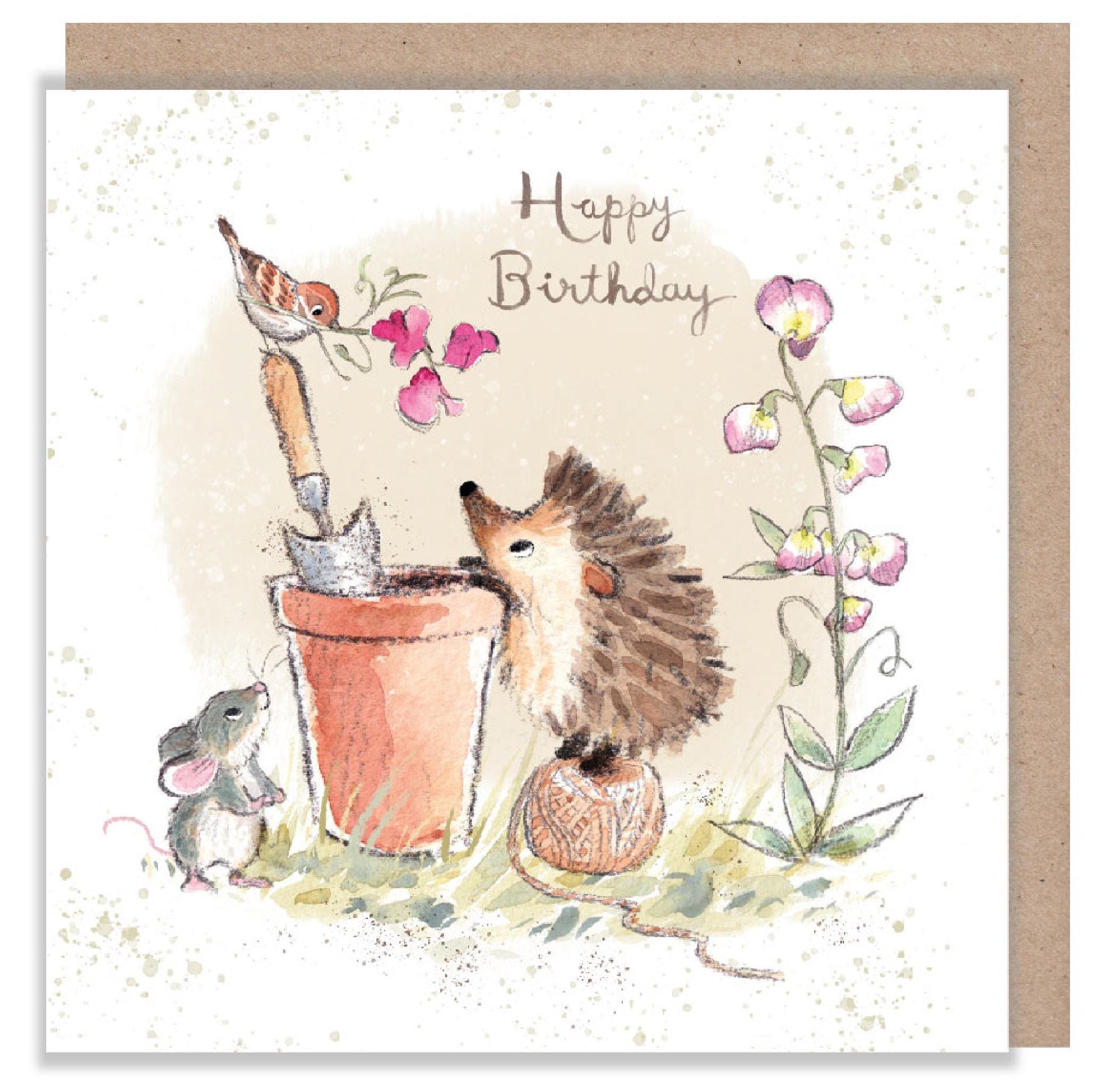 Birthday Card - Quality Card - Charming illustration - Hedgehog and bird  - 'Morris and Maude' range - Made in UK -  MME04