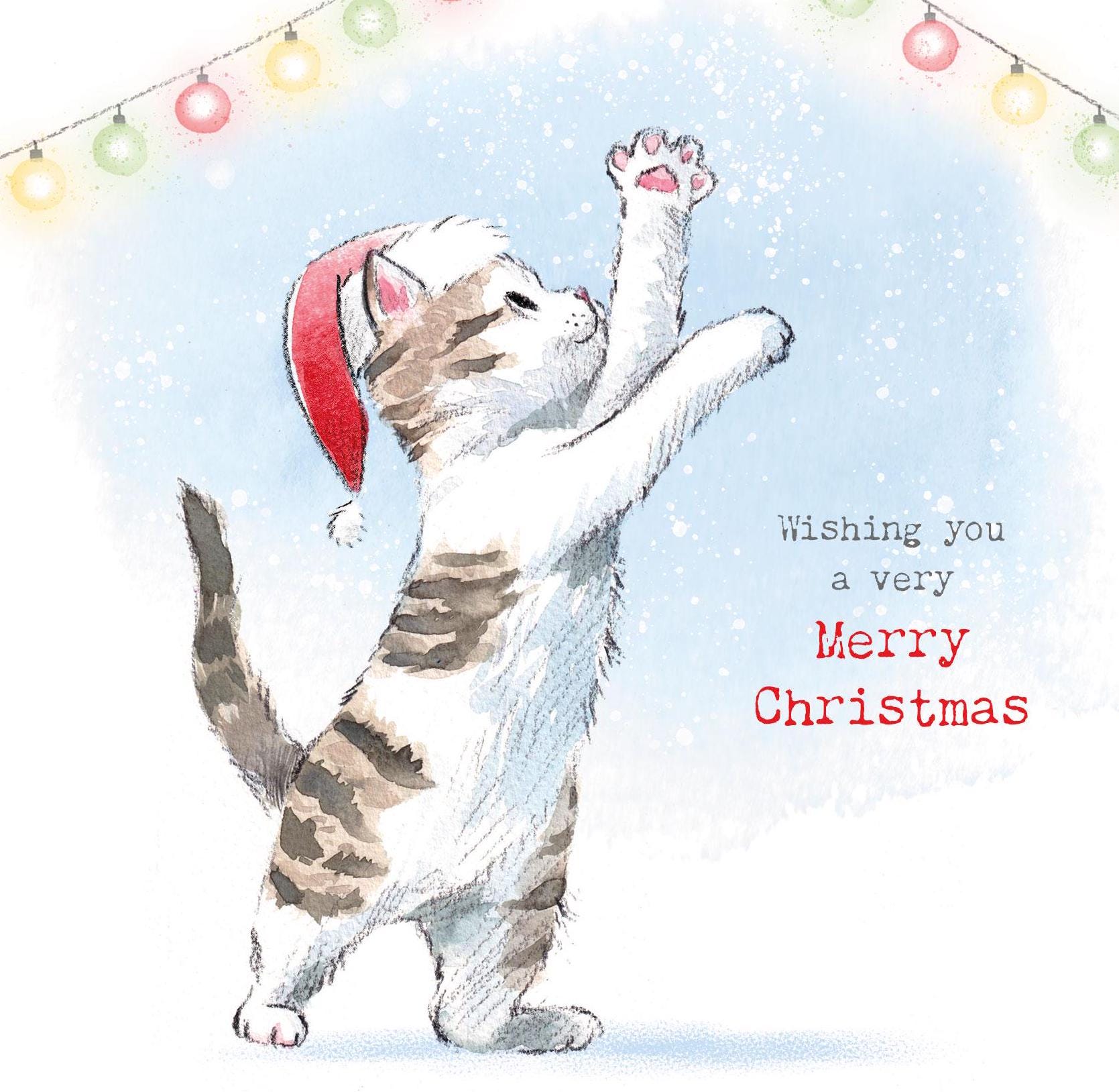 Christmas Card pack 5 small quality cards with brown recycled envelopes -125 x 125mm-  one design - Cute kitten with fairy lights - XPACK011