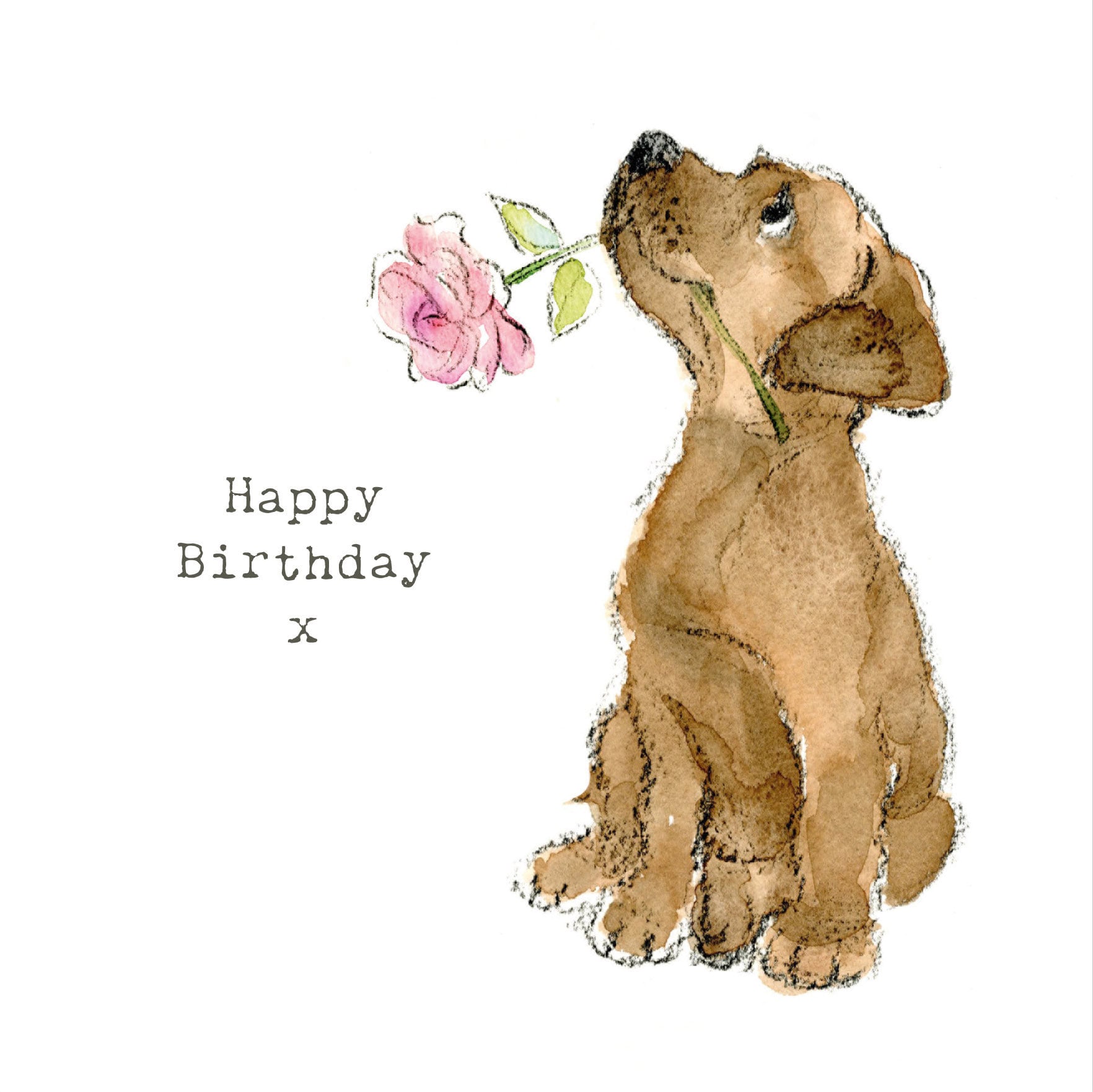 Dog Birthday Card - Quality Greeting Card - Charming illustration - 'Absolutely barking' range - Chocolate Labrador - Made in UK -  ABE01