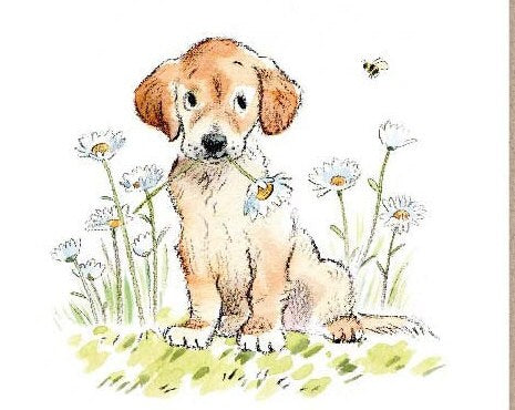 Notecard pack - 5 small quality cards with brown recycled envelopes (125 x 125mm)