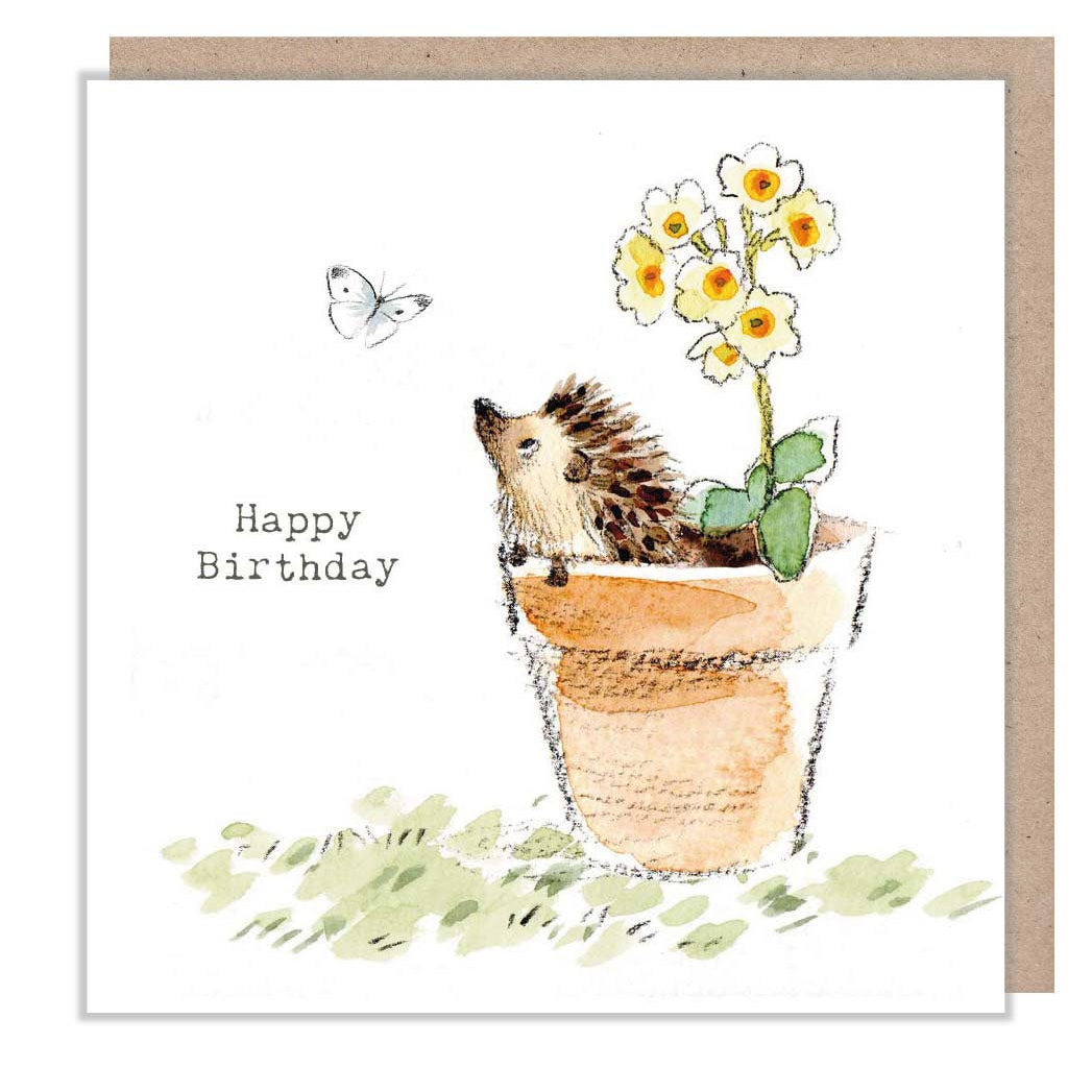 Birthday Card - Quality Card - Charming illustration - Hedgehog in Flowerpot - 'Bucklebury Wood'  range - Made in UK -  BWE033