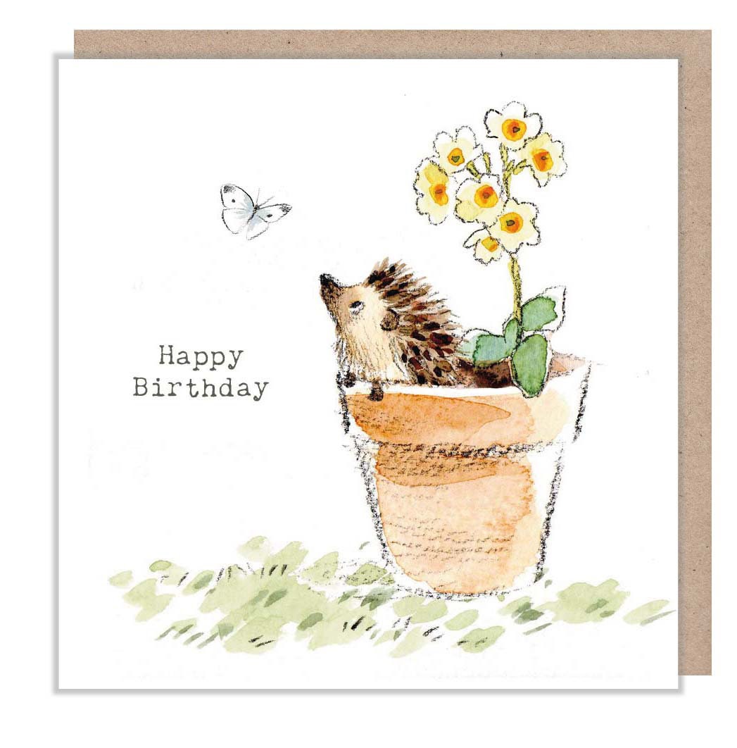 Birthday Card - Quality Card - Charming illustration - Hedgehog in Flowerpot - 'Bucklebury Wood'  range - Made in UK -  BWE033
