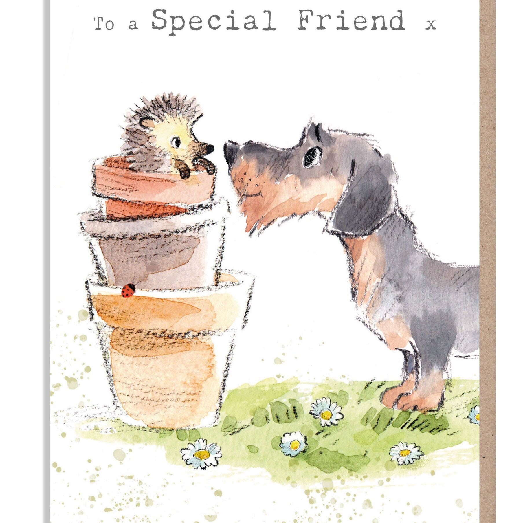 To a Special Friend Card - Quality Greeting Card - Charming illustration - 'Absolutely barking' range - Sausage Dog - Made in UK -  ABE086