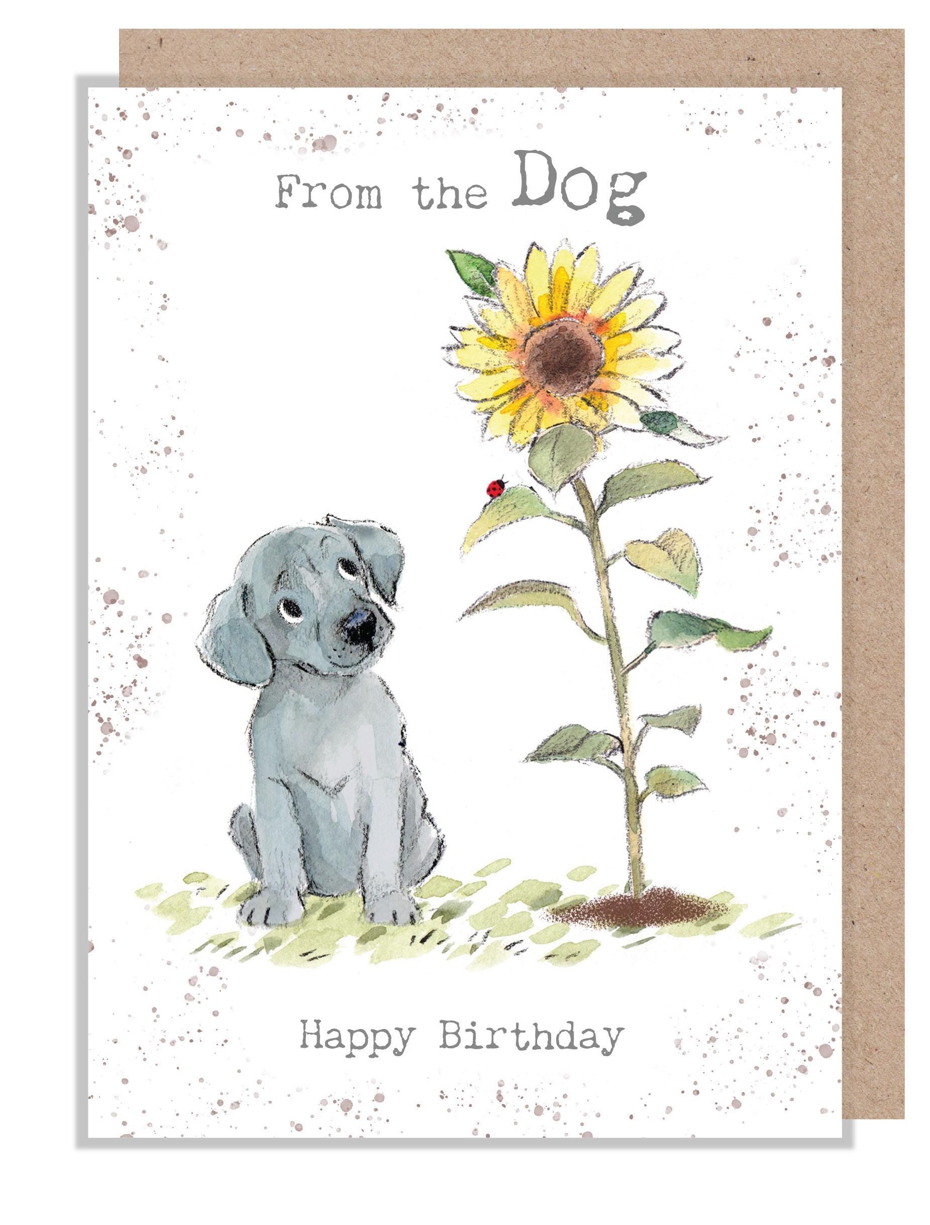 From the Dog Birthday Card - Charming Dog illustration - 'Absolutely barking' range - Grey Puppy with Sunflower - Made in UK -  ABE117