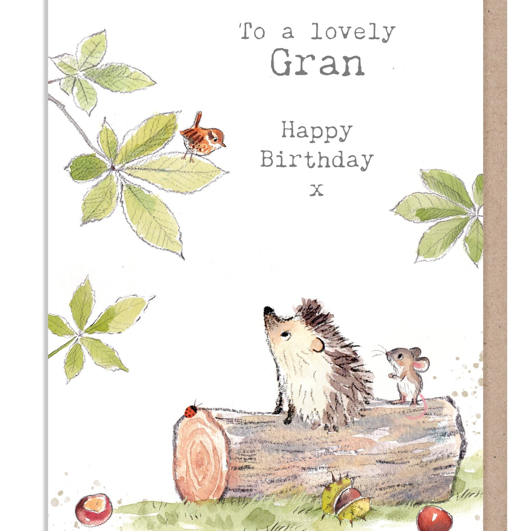 Gran Birthday Card - Cute Hedgehog and Mouse Illustration - BWE038