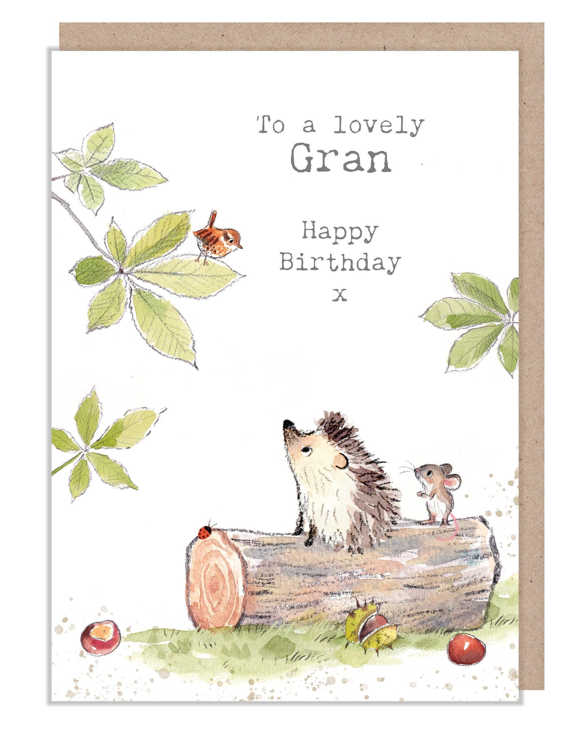 Gran Birthday Card - Cute Hedgehog and Mouse Illustration - BWE038