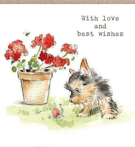 Notecard pack - 5 small quality cards with brown recycled envelopes (125 x 125mm)