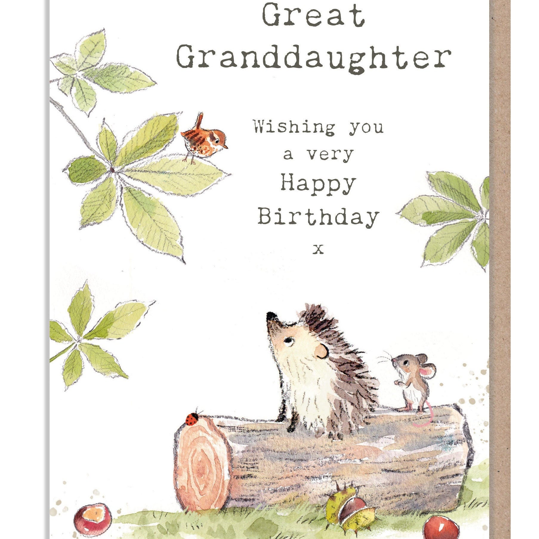 Great Granddaughter Card - Cute Hedgehog and Mouse Illustration - BWE023