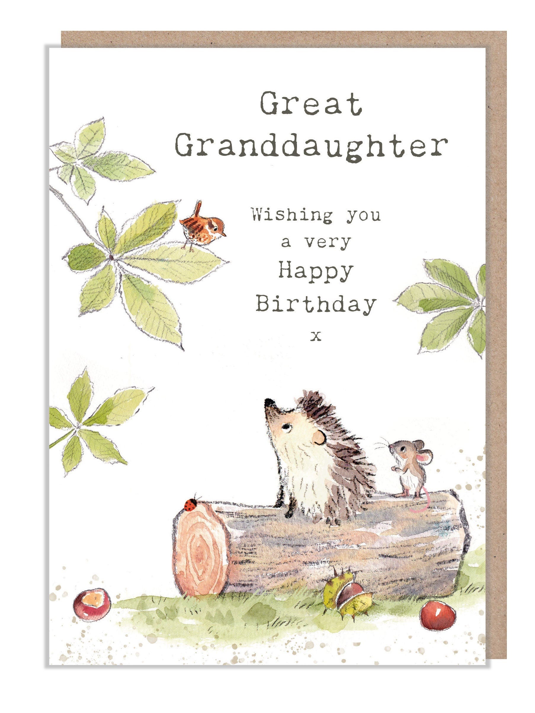 Great Granddaughter Card - Cute Hedgehog and Mouse Illustration - BWE023