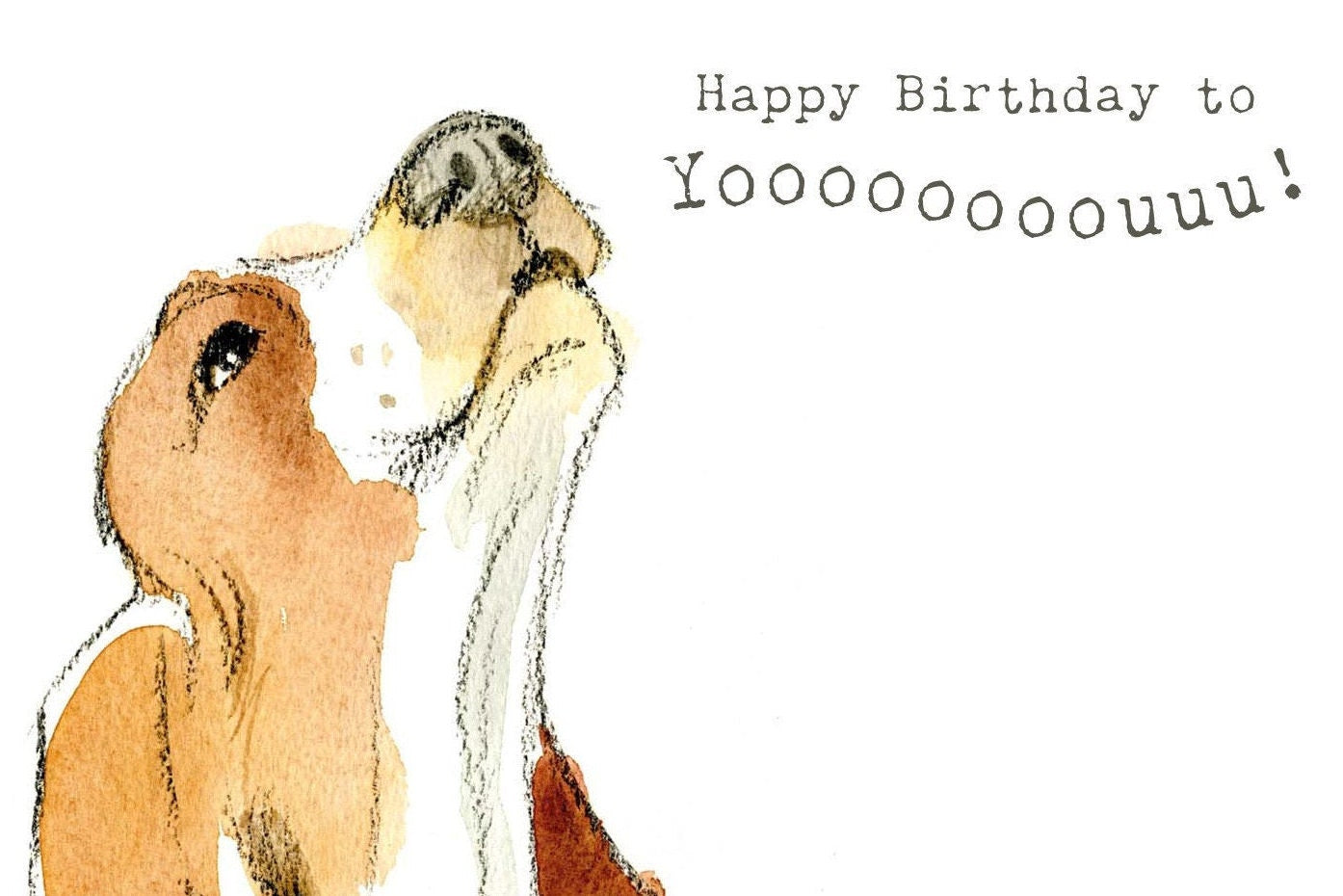 Dog Birthday Card - Quality Greeting Card -Charming illustration -cute dog- 'Absolutely barking' range - Basset Hound - Made in UK -  ABE047