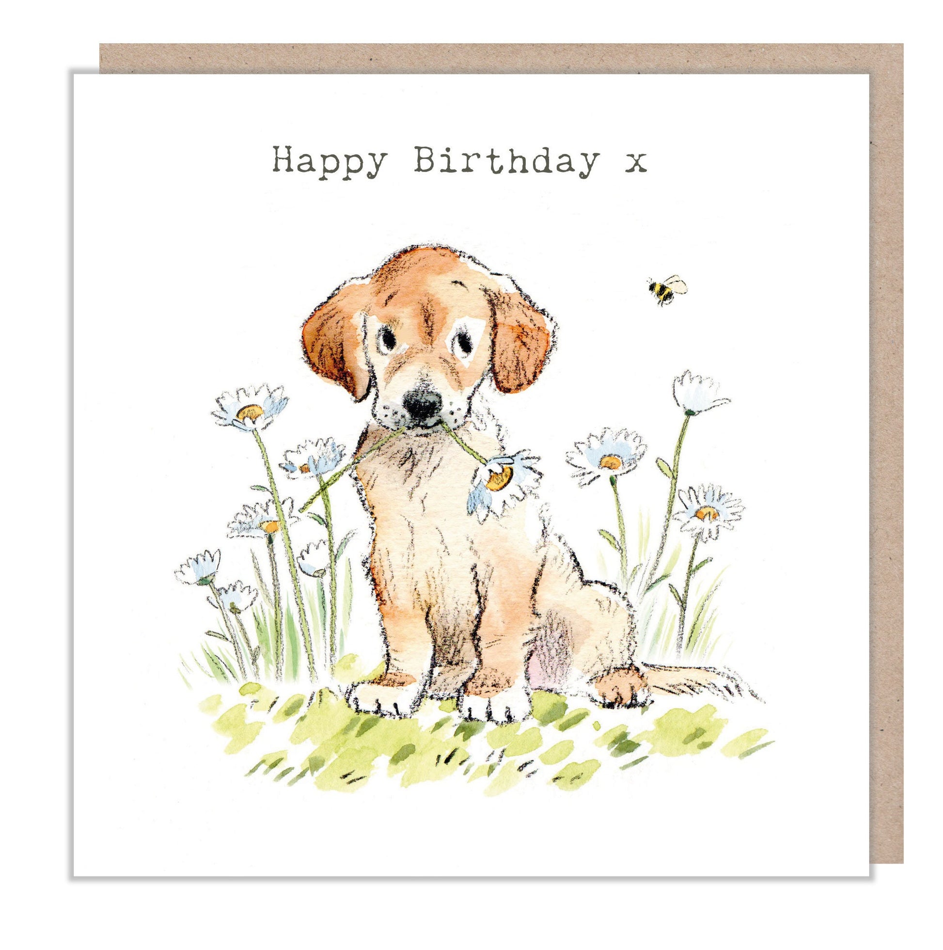 Dog Birthday Card - Quality Greeting Card - Charming illustration - 'Absolutely barking' range - Golden Retriever/ Lab- Made in UK -  ABE051