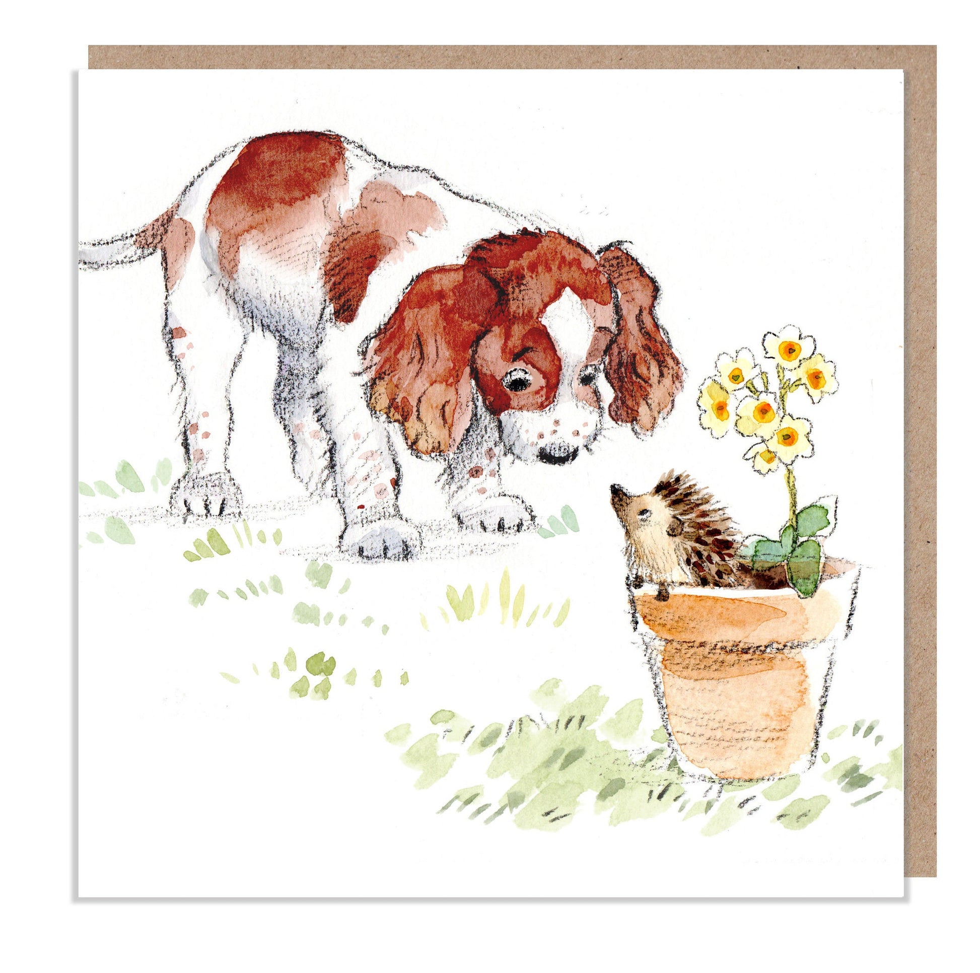 Springer Spaniel Greeting Card: Charming Dog Illustration