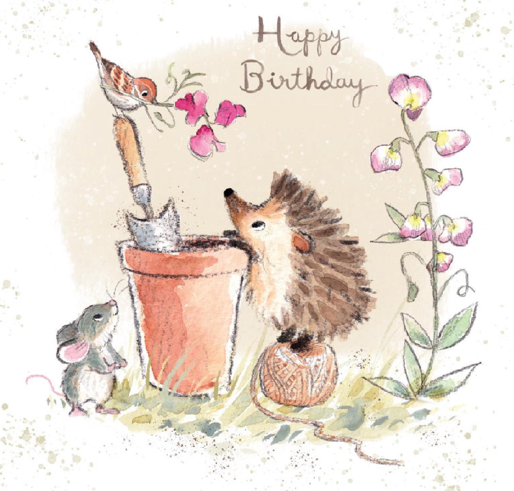 Birthday Card - Quality Card - Charming illustration - Hedgehog and bird  - 'Morris and Maude' range - Made in UK -  MME04