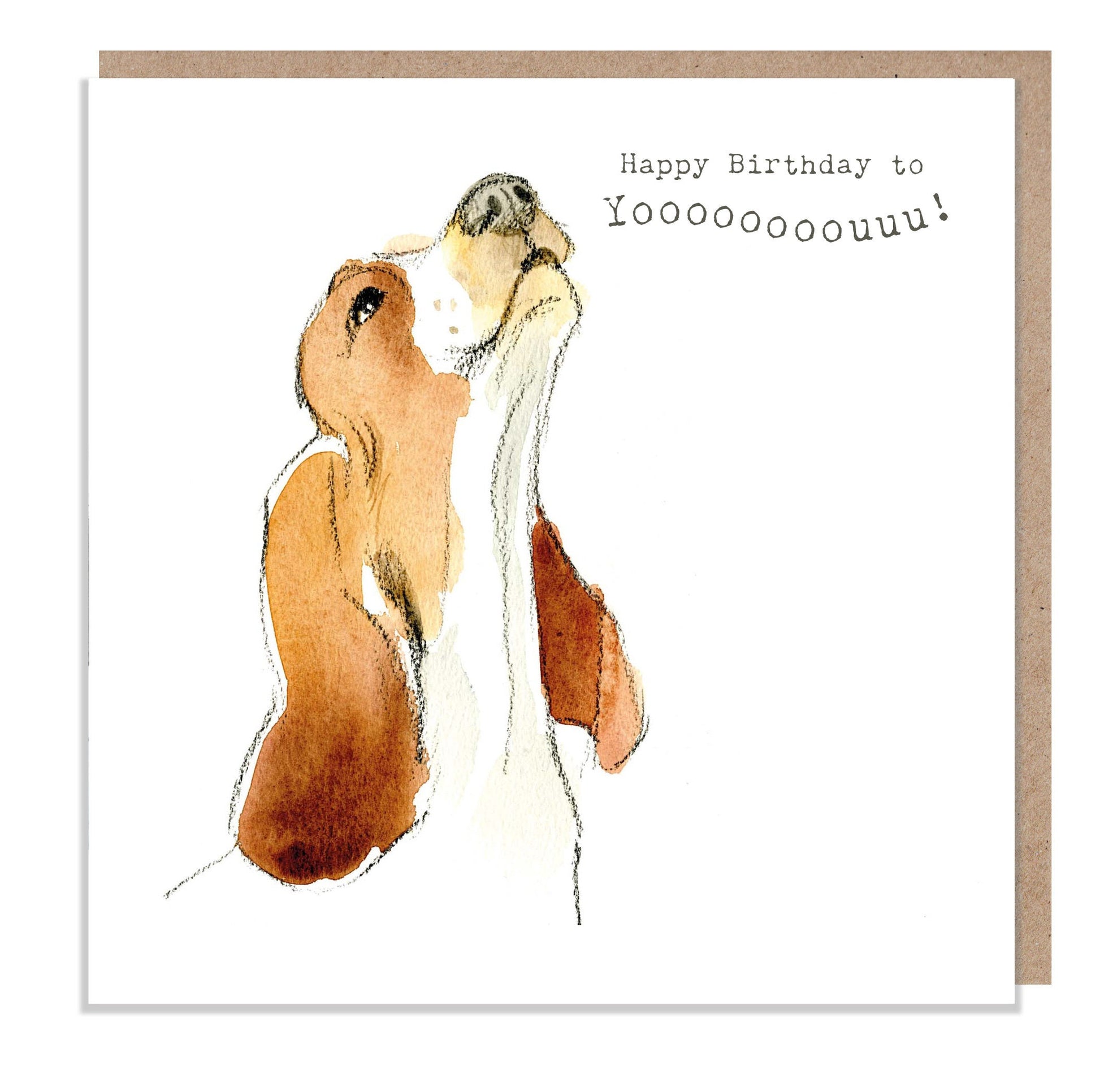 Dog Birthday Card - Quality Greeting Card -Charming illustration -cute dog- 'Absolutely barking' range - Basset Hound - Made in UK -  ABE047
