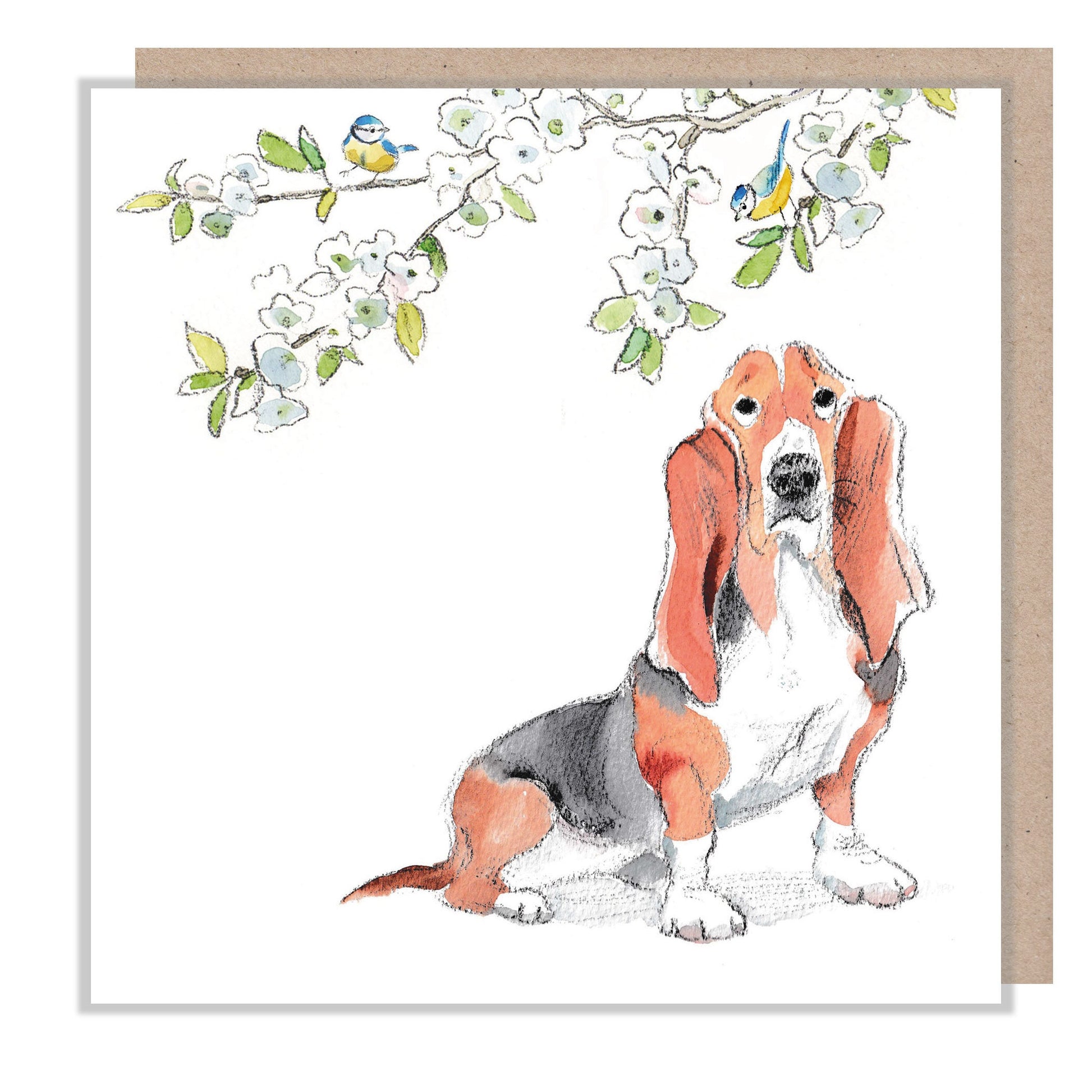 Blank Card - Quality Greeting Card - Charming Dog illustration - 'Absolutely barking' range - Bassett with Blossom- Made in UK - ABE060