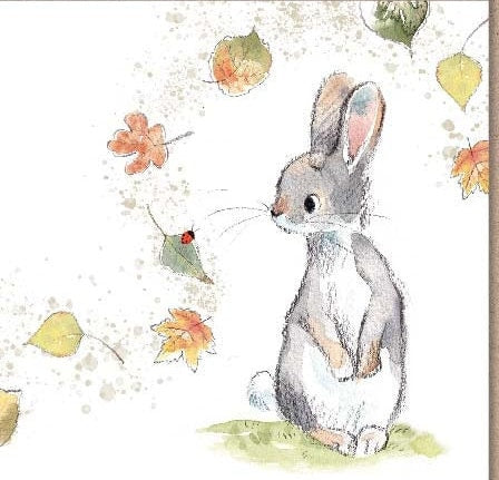 Notecard pack - 5 small quality cards with brown recycled envelopes (125 x 125mm)