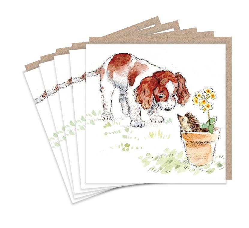 Notecard pack - 5 small quality cards with brown recycled envelopes (125 x 125mm)