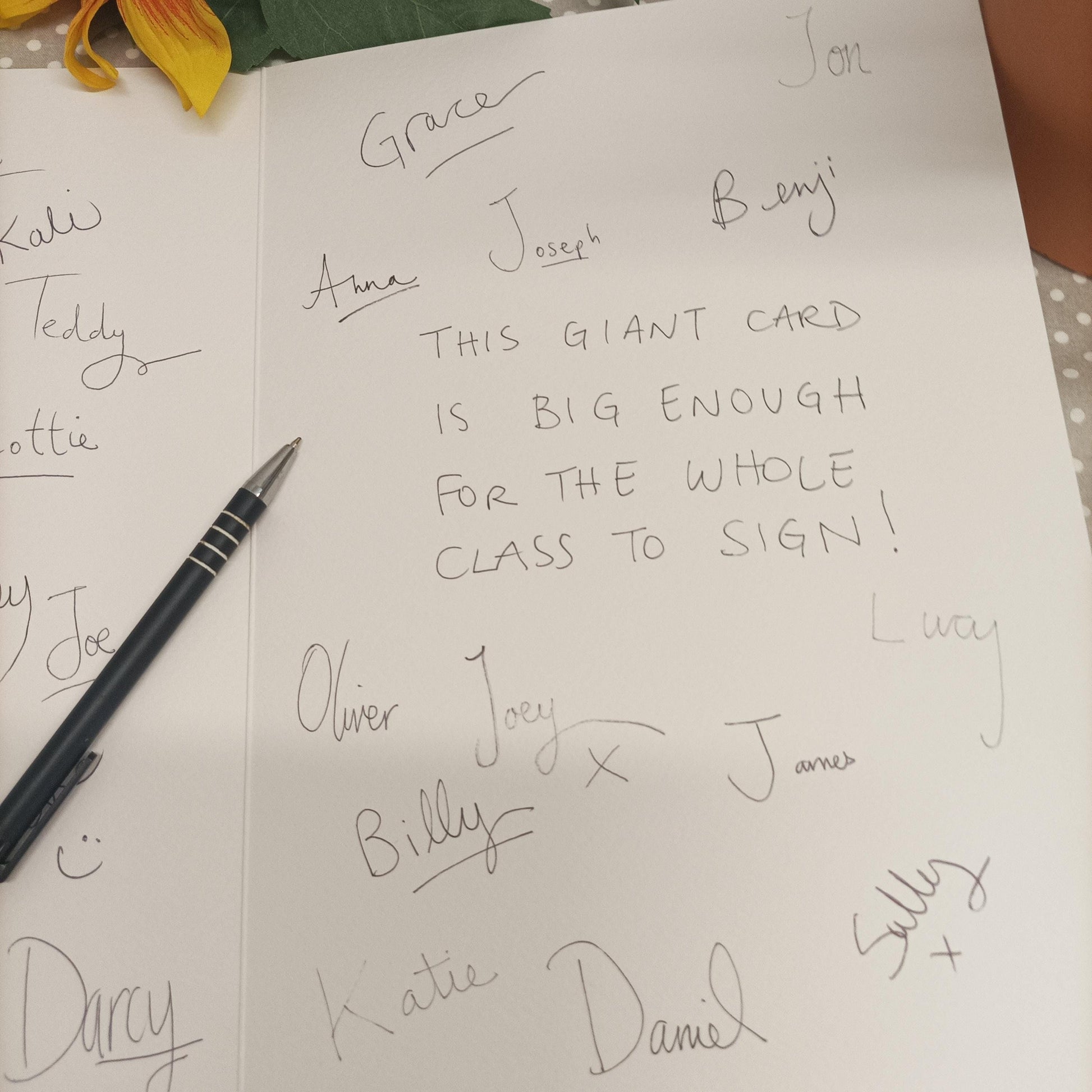 Thank you Teacher - GIANT Card! Large enough for the whole class to sign! White Duck design - Extra LARGE Card A4 size - 210 x 297 mm XL016