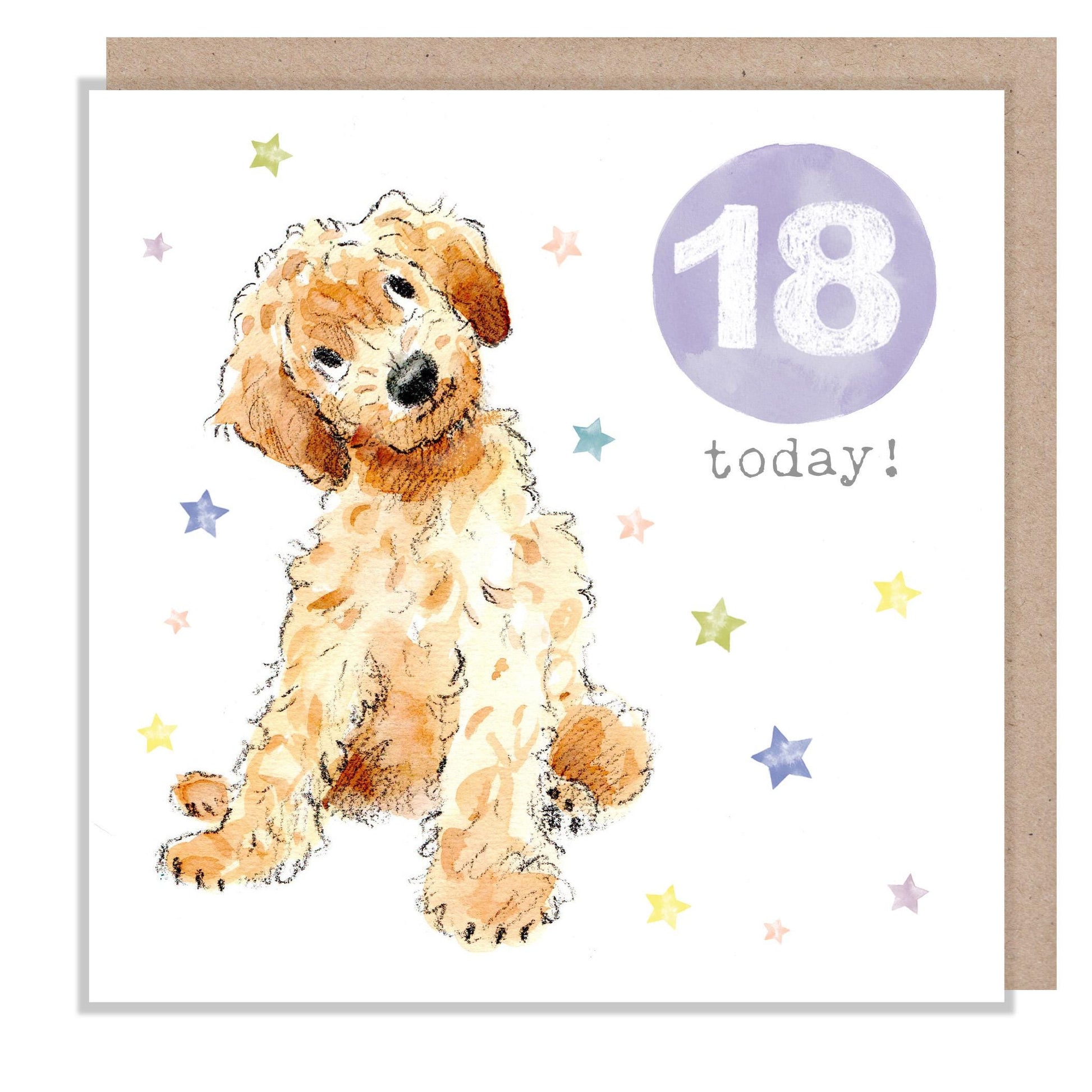 AGE 18 Birthday Card -  Charming illustration - Cockapoo Puppy,  'Party Time'  range - Made in UK -  PTAGE018