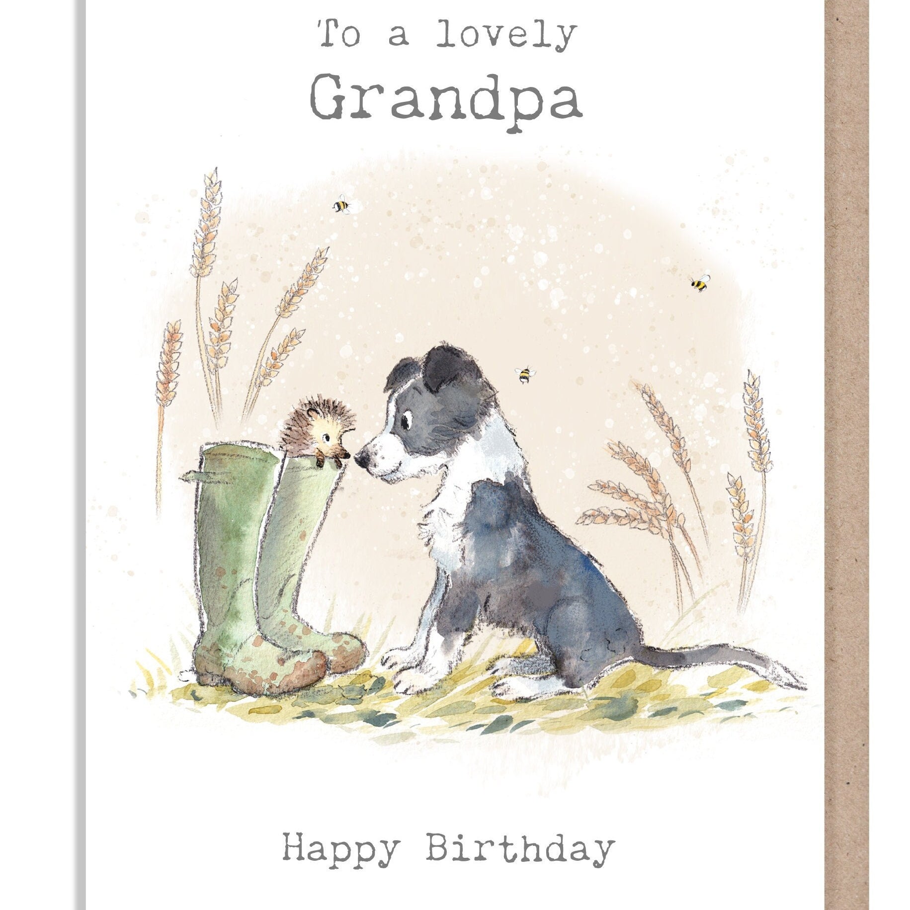 Grandpa Birthday Card - Quality Greeting Card - Charming illustration - 'Buttercup Farm' range - Collie Dog and Hedgehog - Made UK -  BF014