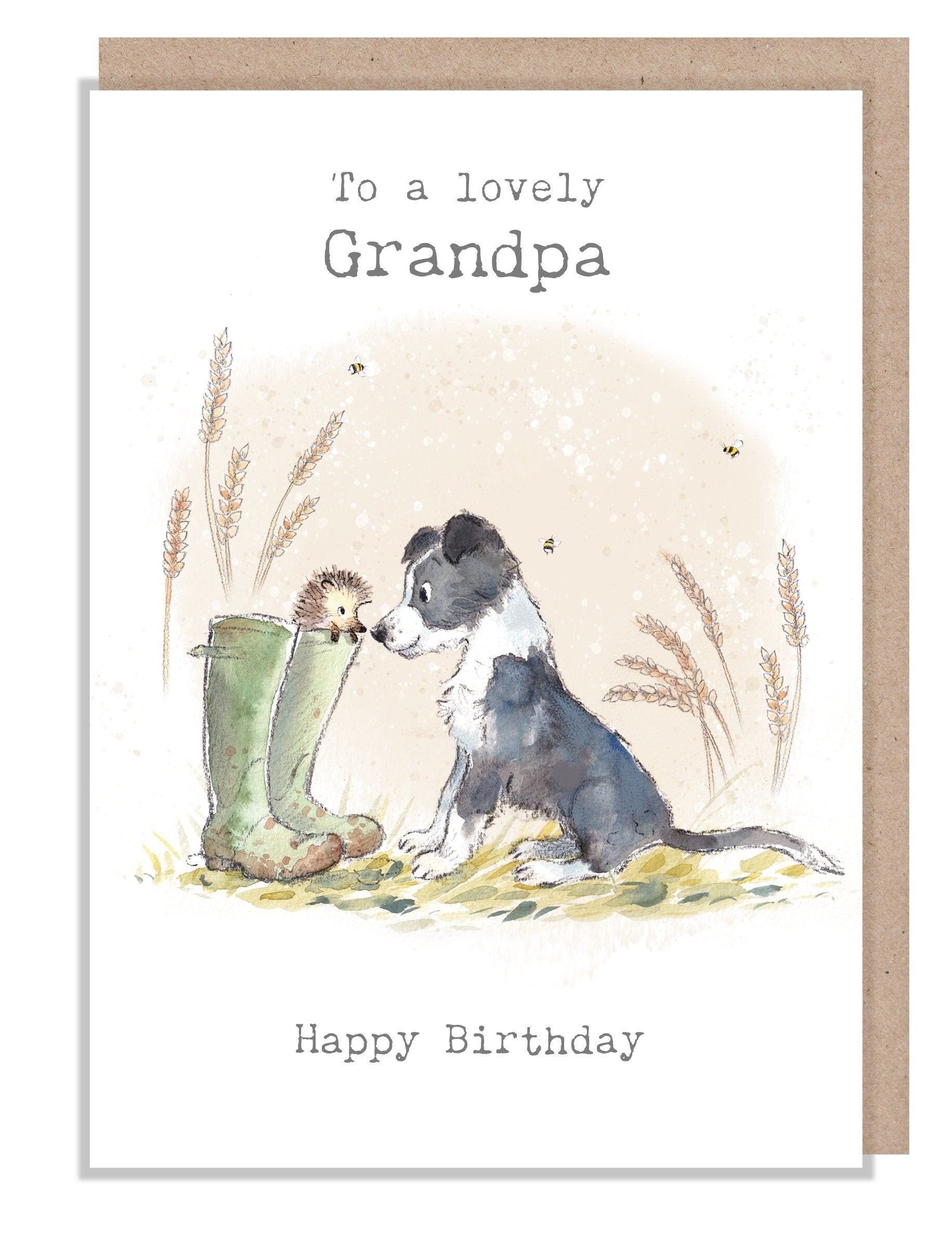 Grandpa Birthday Card - Quality Greeting Card - Charming illustration - 'Buttercup Farm' range - Collie Dog and Hedgehog - Made UK -  BF014