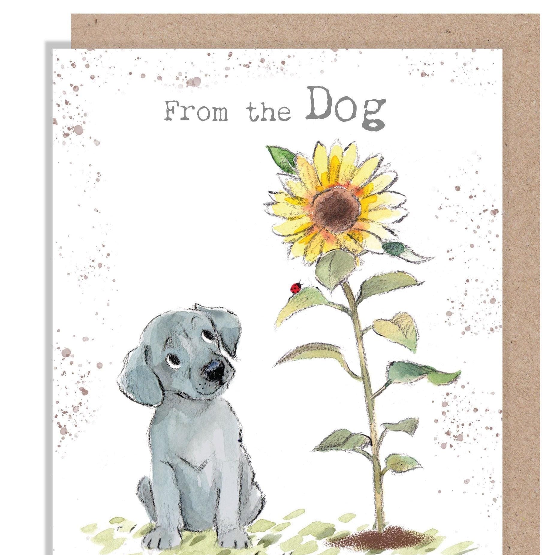 From the Dog Birthday Card - Charming Dog illustration - 'Absolutely barking' range - Grey Puppy with Sunflower - Made in UK -  ABE117