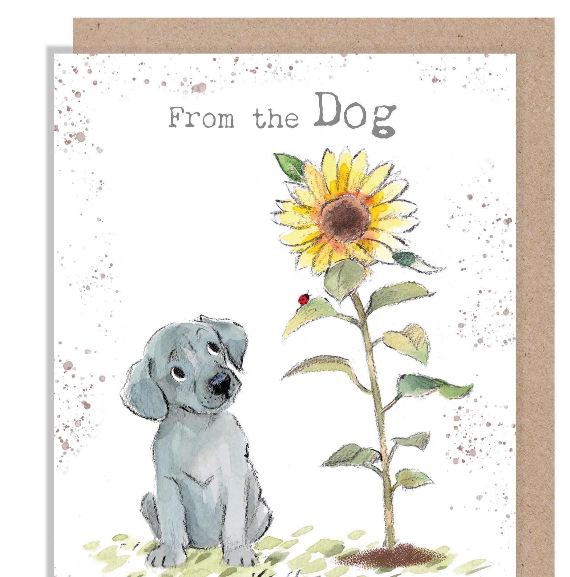 From the Dog Birthday Card - Charming Dog illustration - 'Absolutely barking' range - Grey Puppy with Sunflower - Made in UK -  ABE117