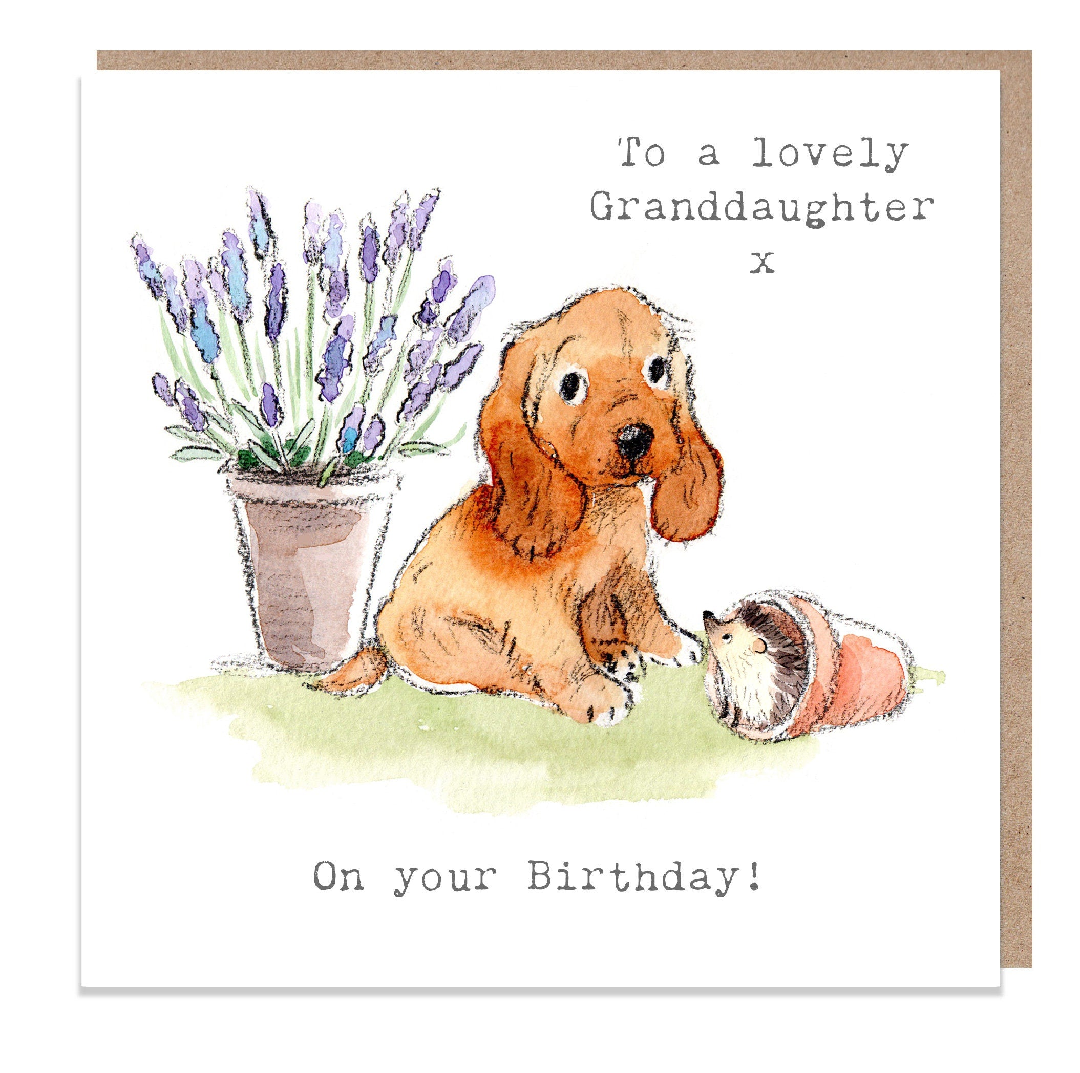 Granddaughter Birthday - Quality Greeting Card - Charming illustration - 'Absolutely barking' range - Cocker spaniel- Made in UK -  ABE016