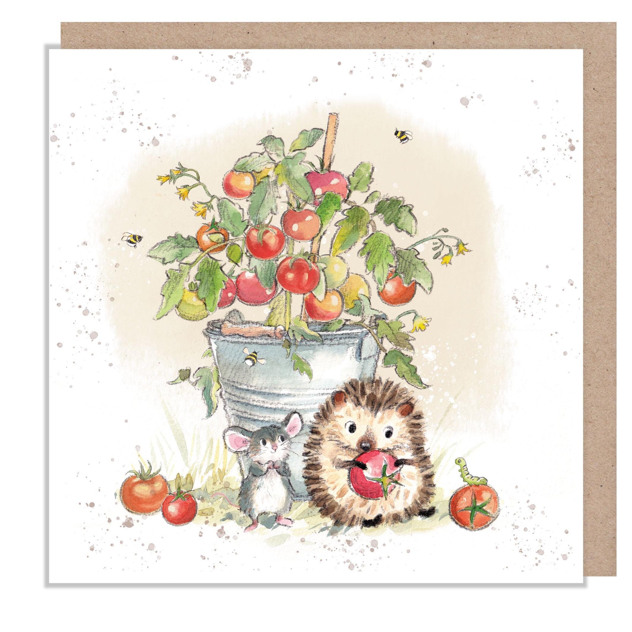 Blank Card - Quality Card - Charming illustration - Hedgehog with Tomato - 'Morris and Maude' range - Made in UK -  MME08