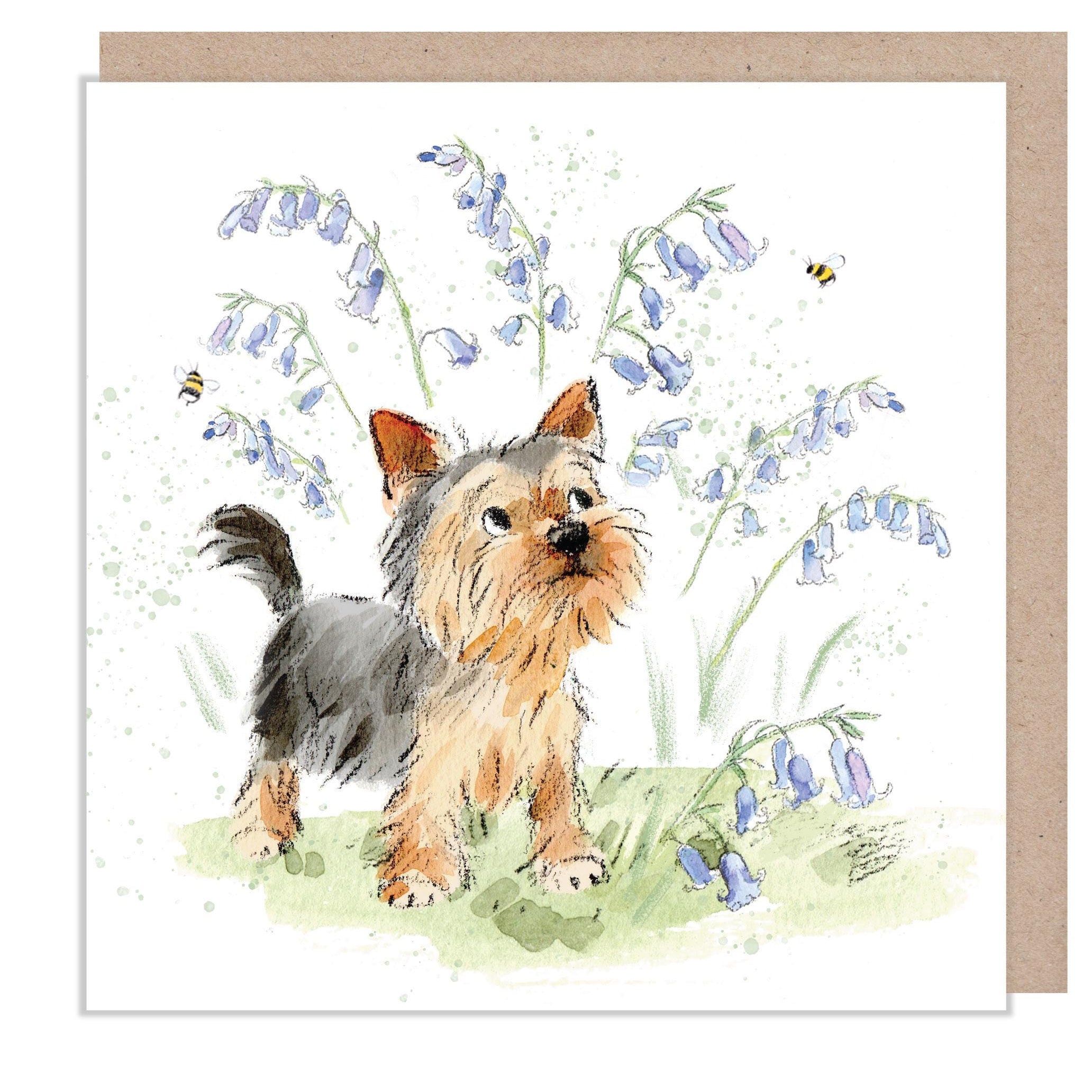 Blank Card - Charming illustration - 'Absolutely barking' range - Yorkshire Terrier with Bluebells - Made in UK -  ABE112