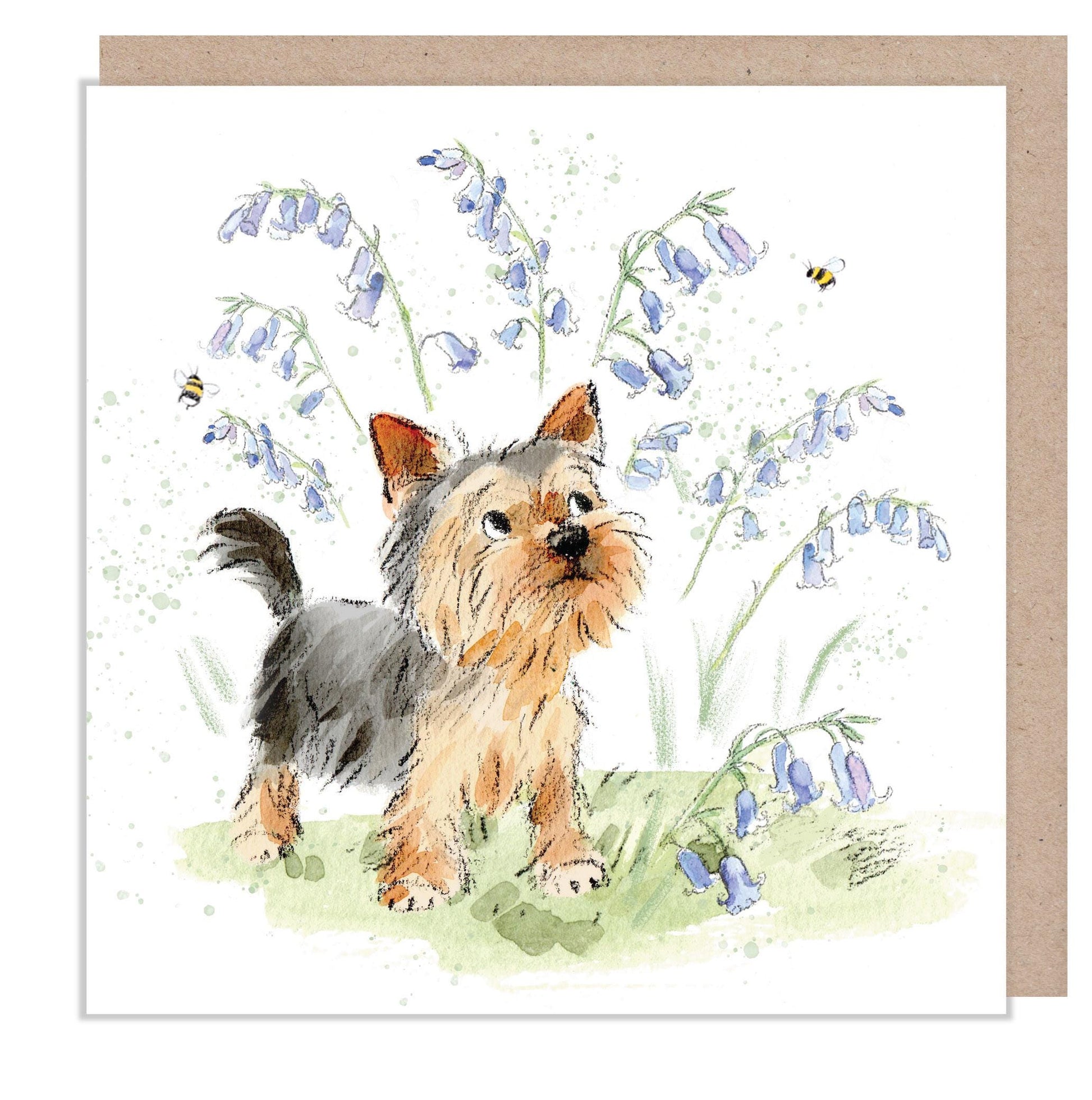 Blank Card - Charming illustration - 'Absolutely barking' range - Yorkshire Terrier with Bluebells - Made in UK -  ABE112