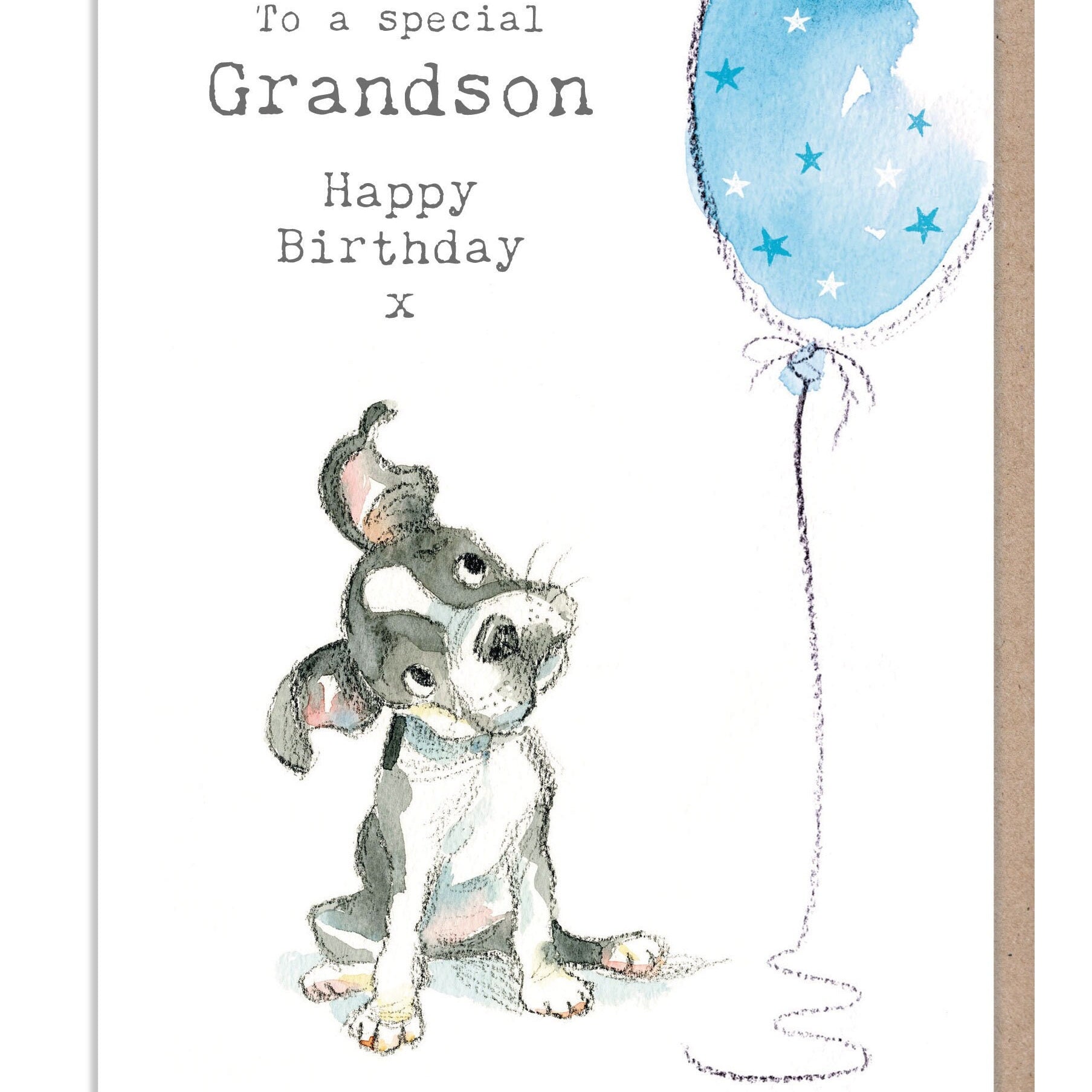 Grandson Birthday Card - Cute Dog Illustration - absolutely barking range - ABE082