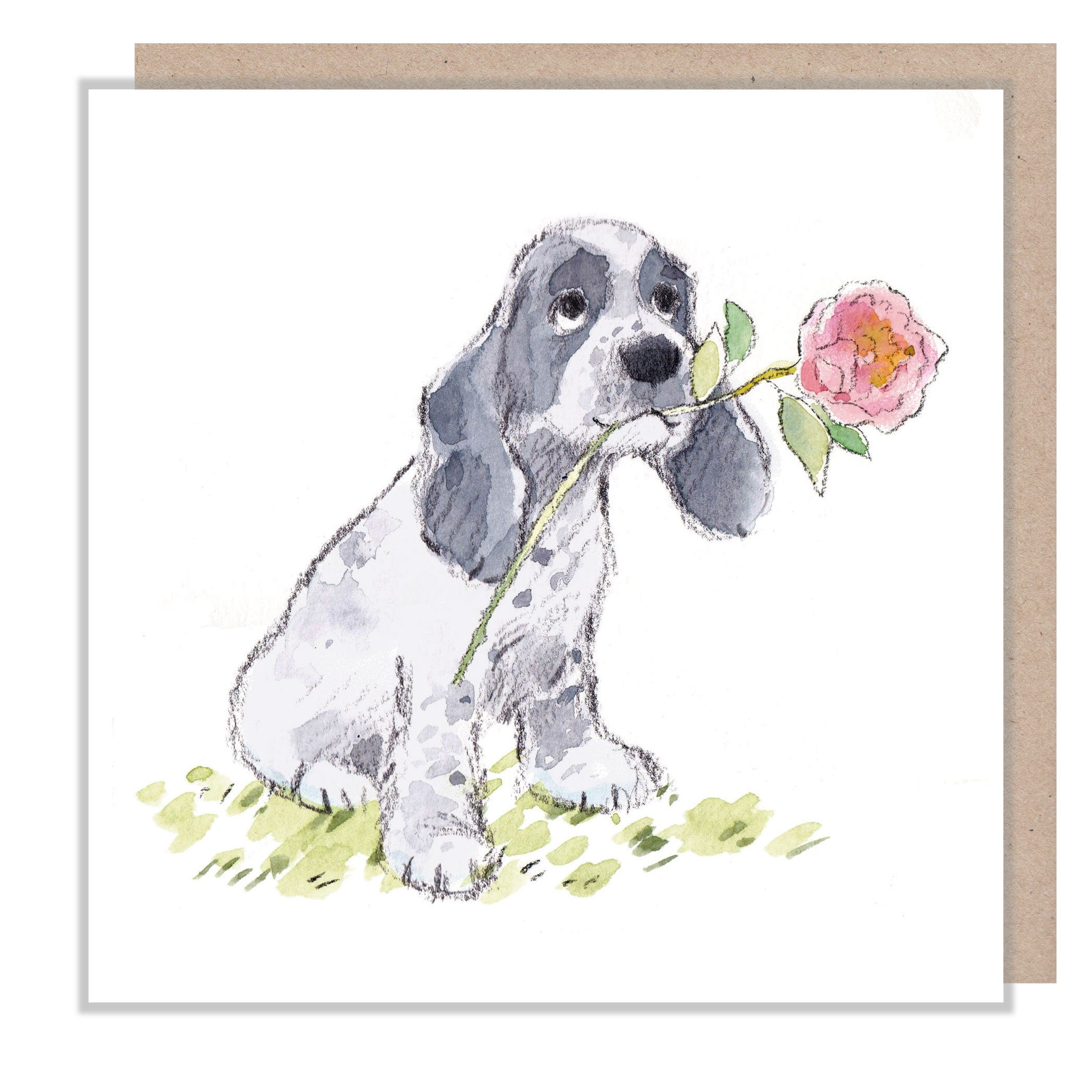 Blank Card - Quality Greeting Card - Charming Dog illustration - 'Absolutely barking' range -  Cocker Spaniel - Made in UK -  ABE065